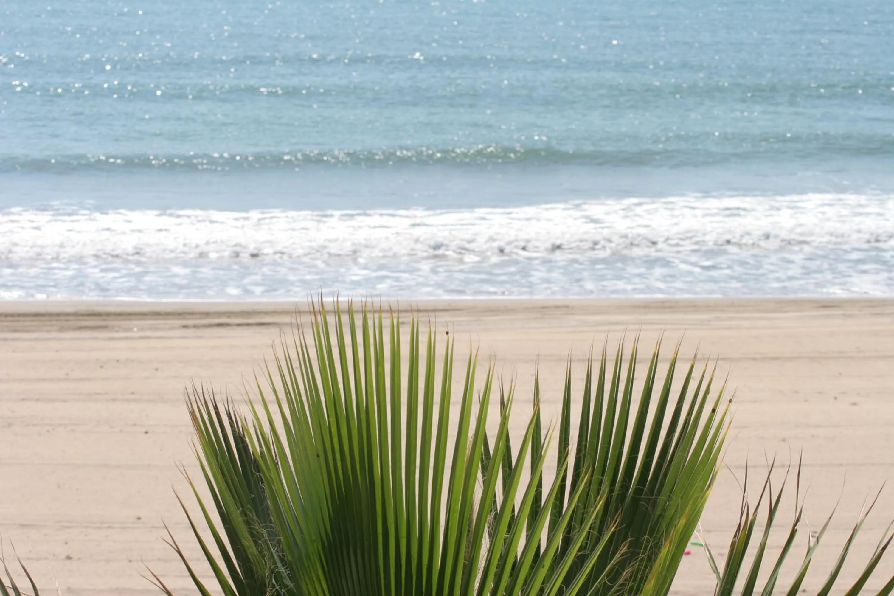 Natural landscape in Hotel Alba