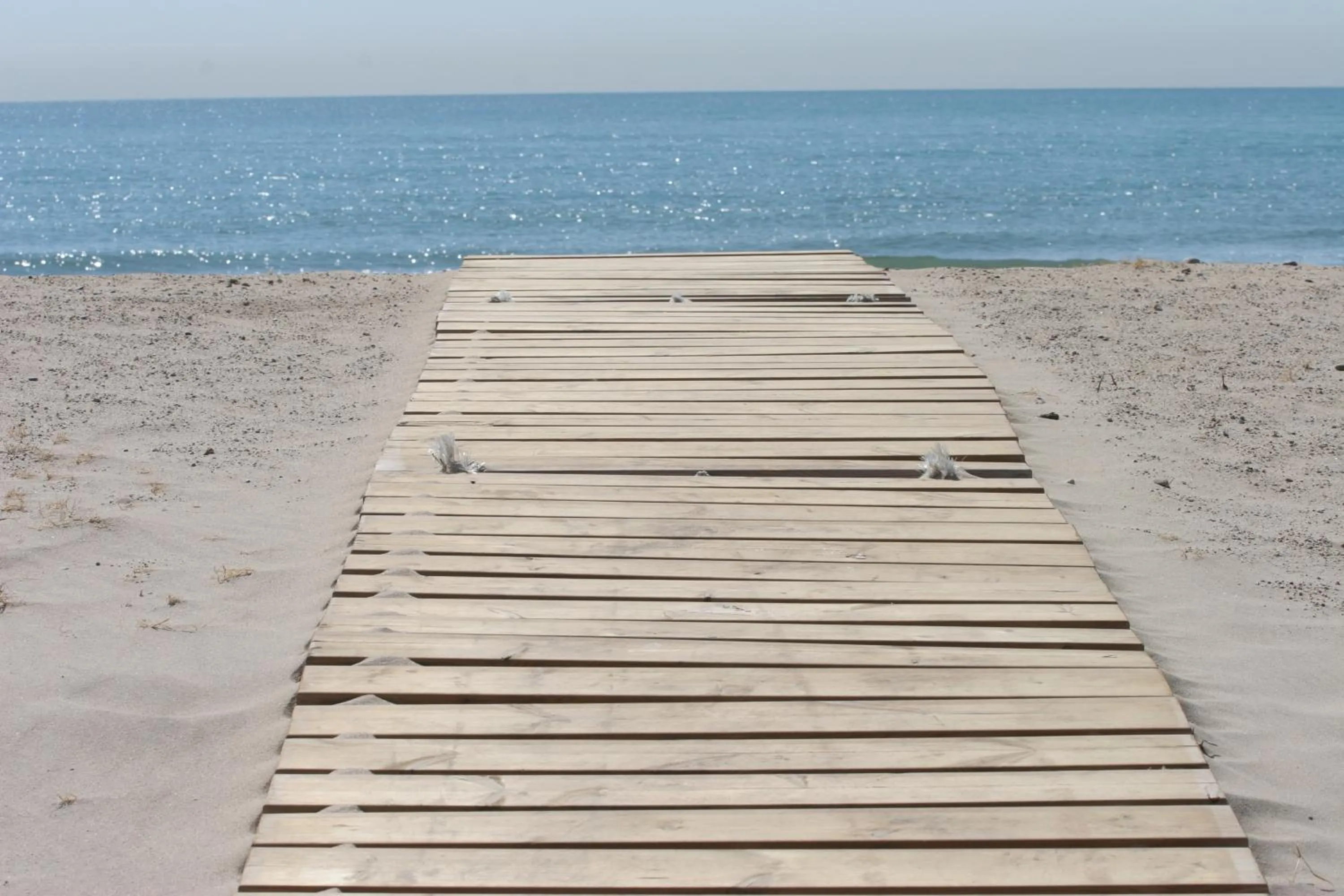 Beach in Hotel Alba