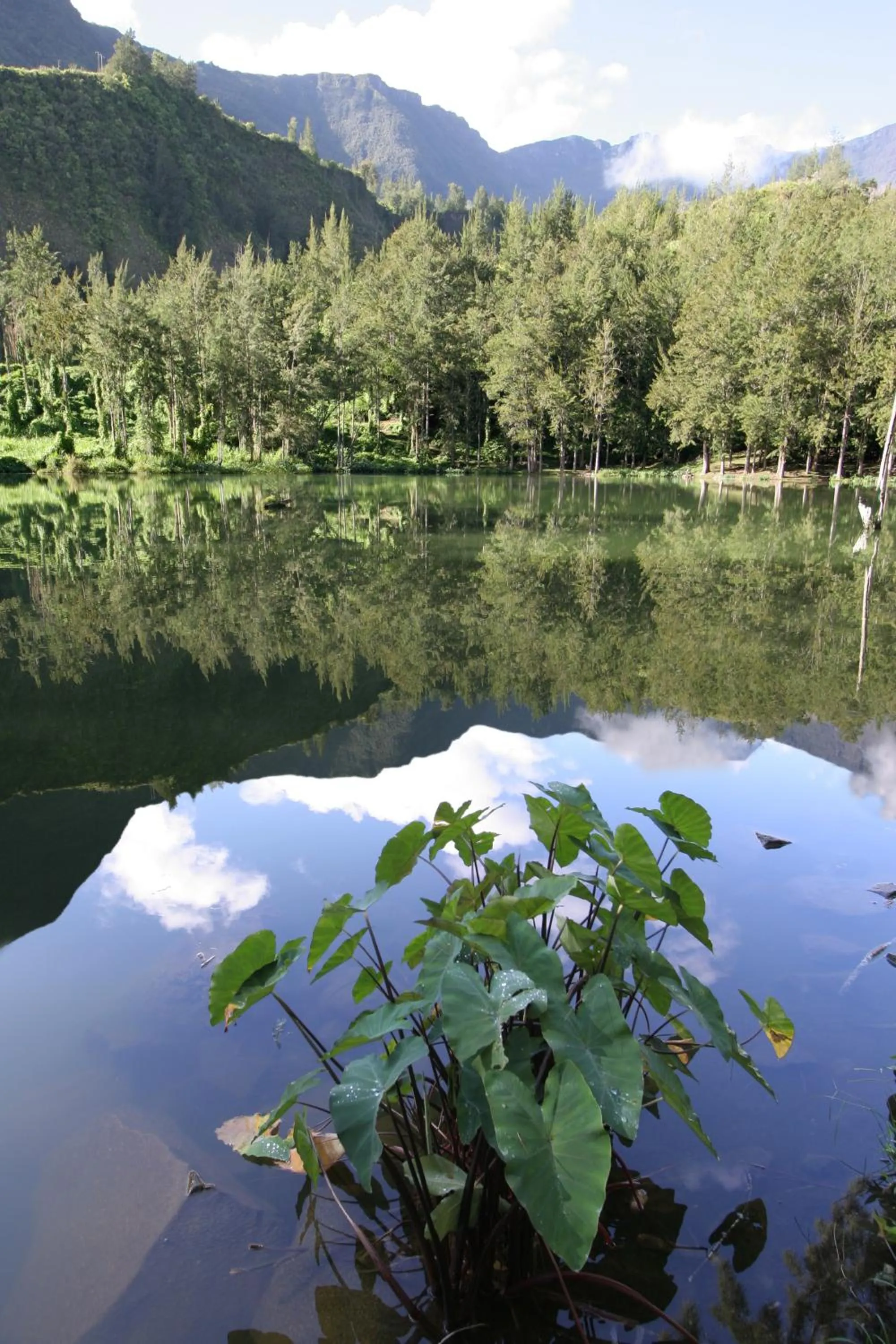 Lake view in Le Relais Des Cimes