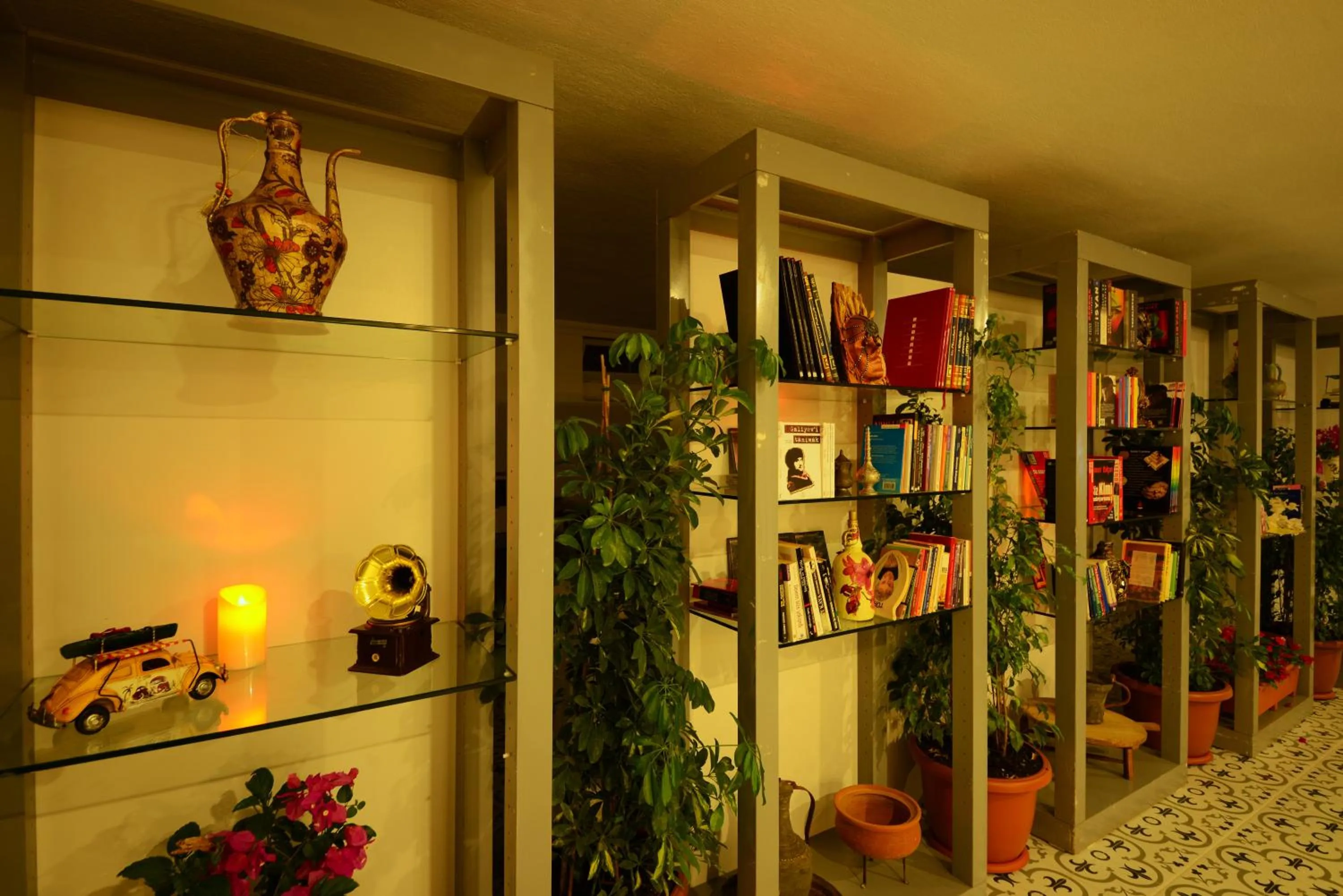 Library in Neruda Hotel