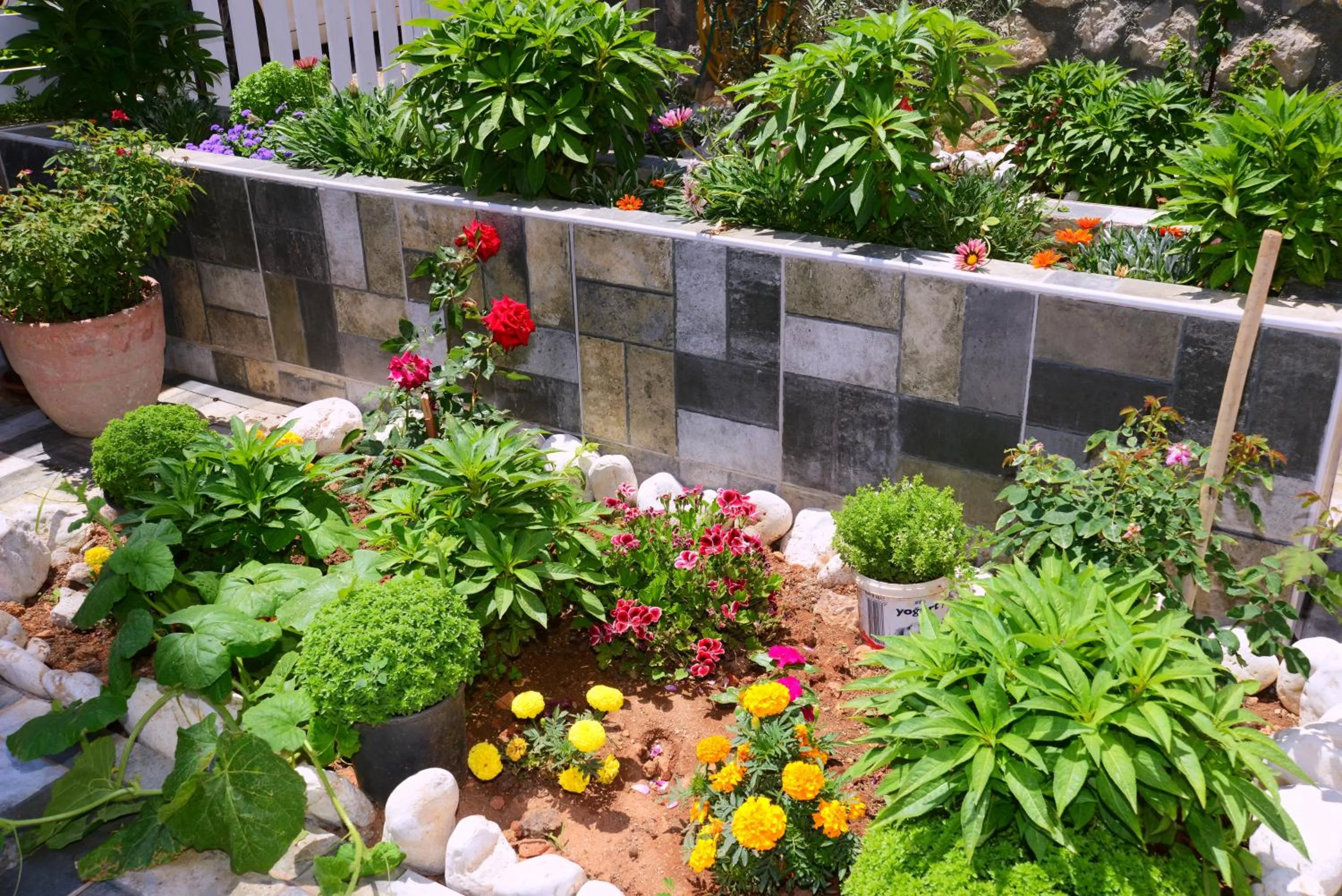 Garden view in Neruda Hotel