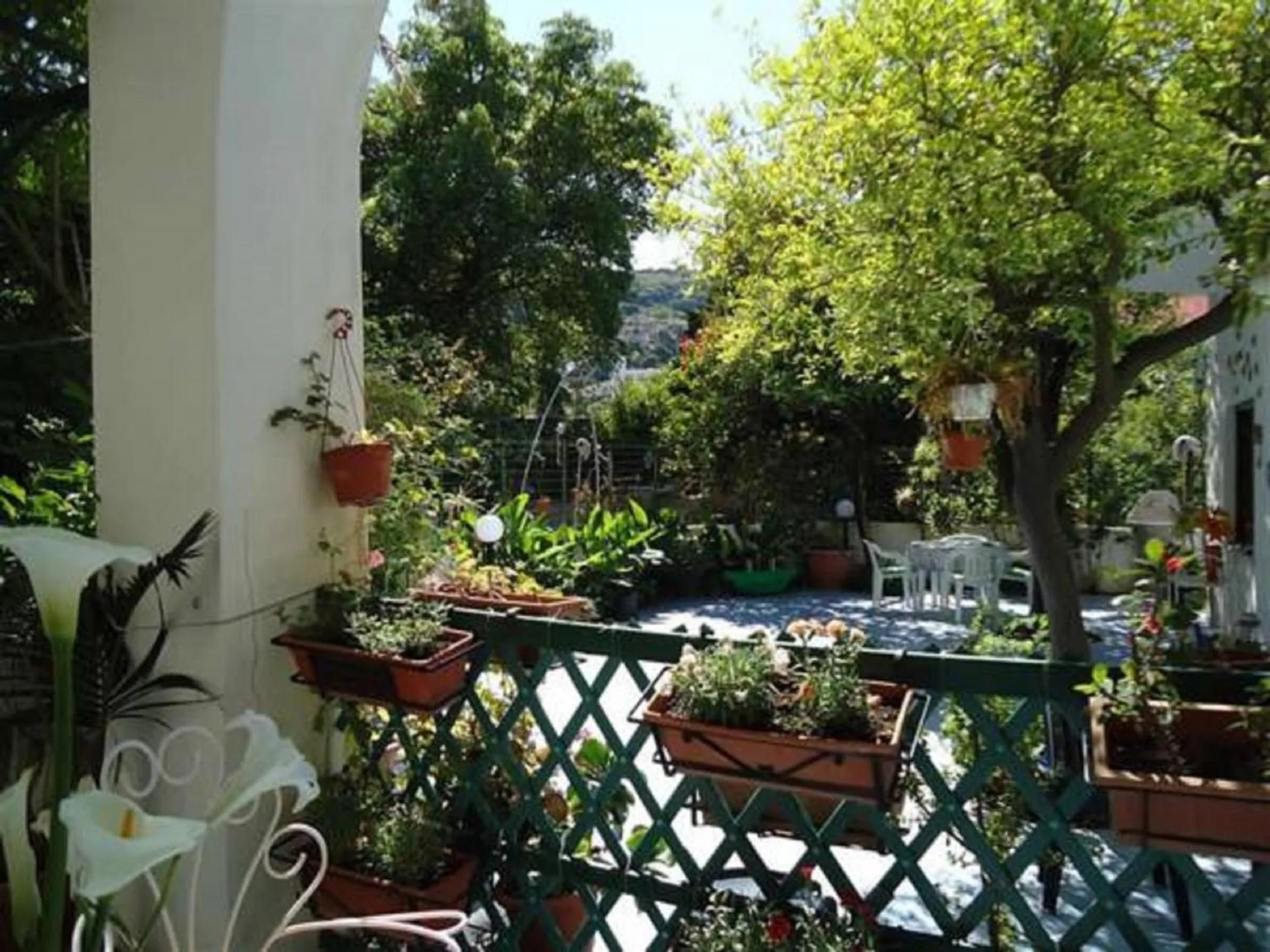 Garden in B&B Albatros