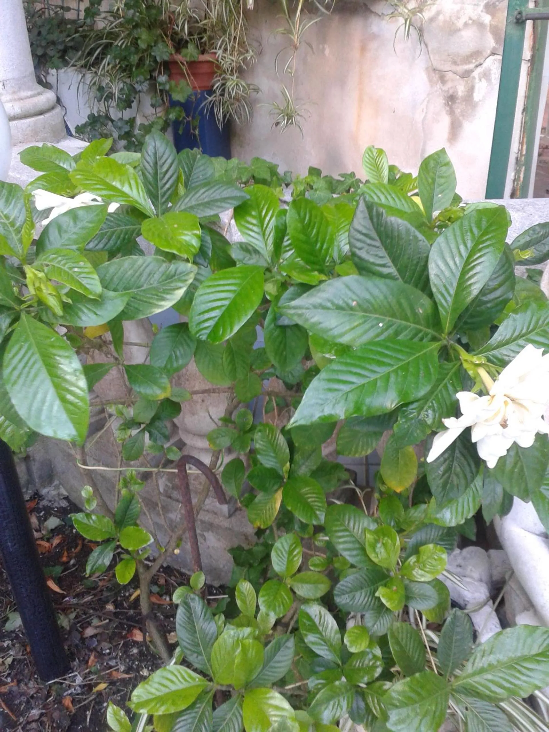 Seating area in B&B Albatros
