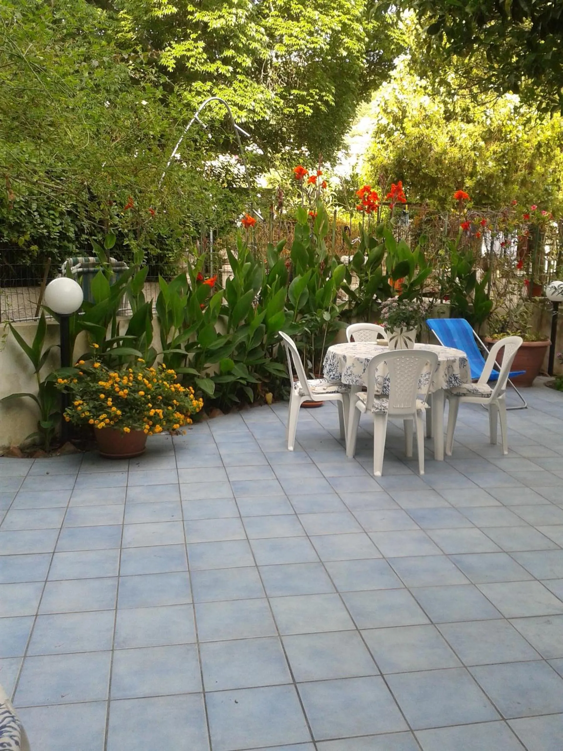 Garden in B&B Albatros
