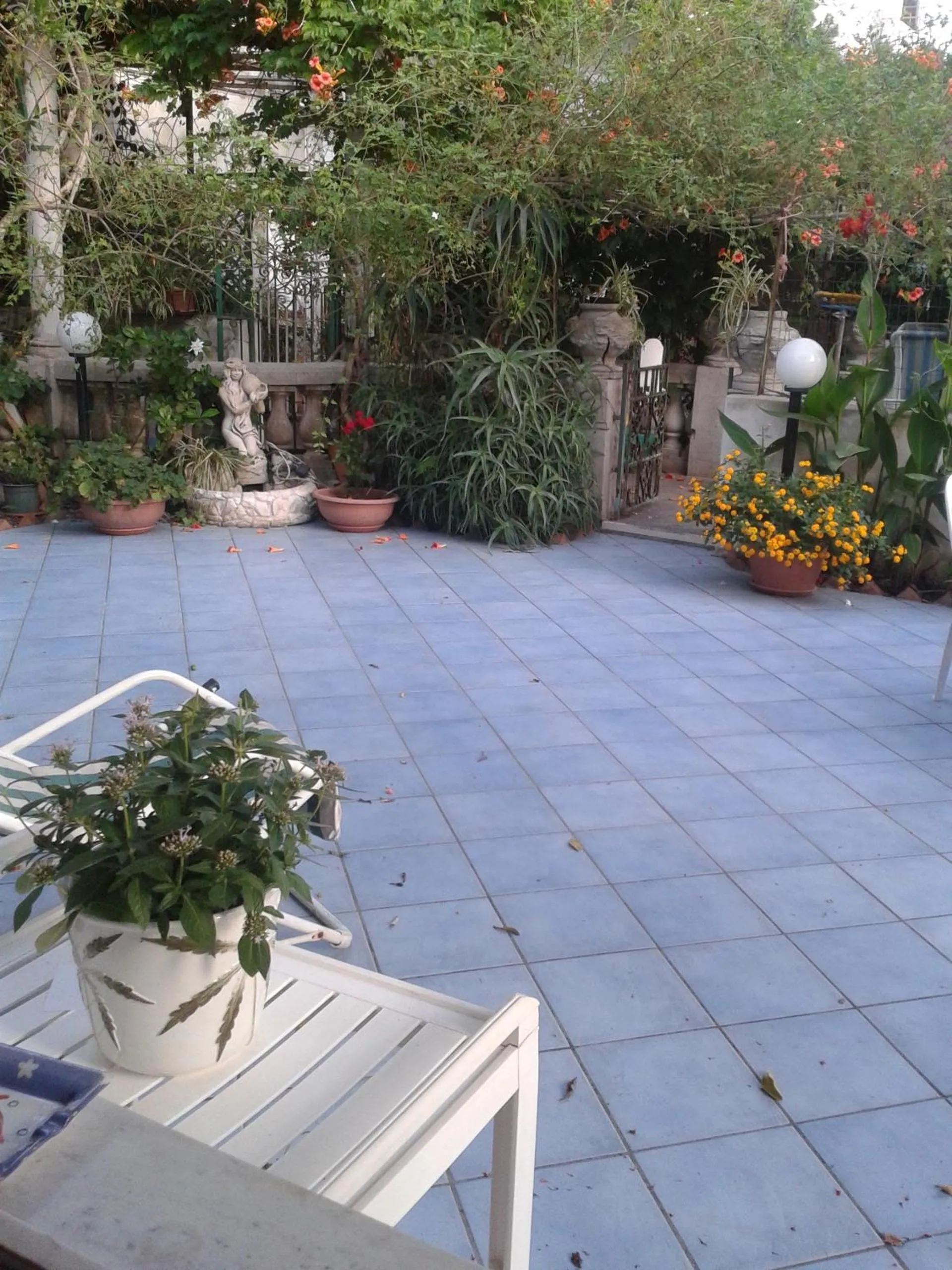 Balcony/Terrace in B&B Albatros