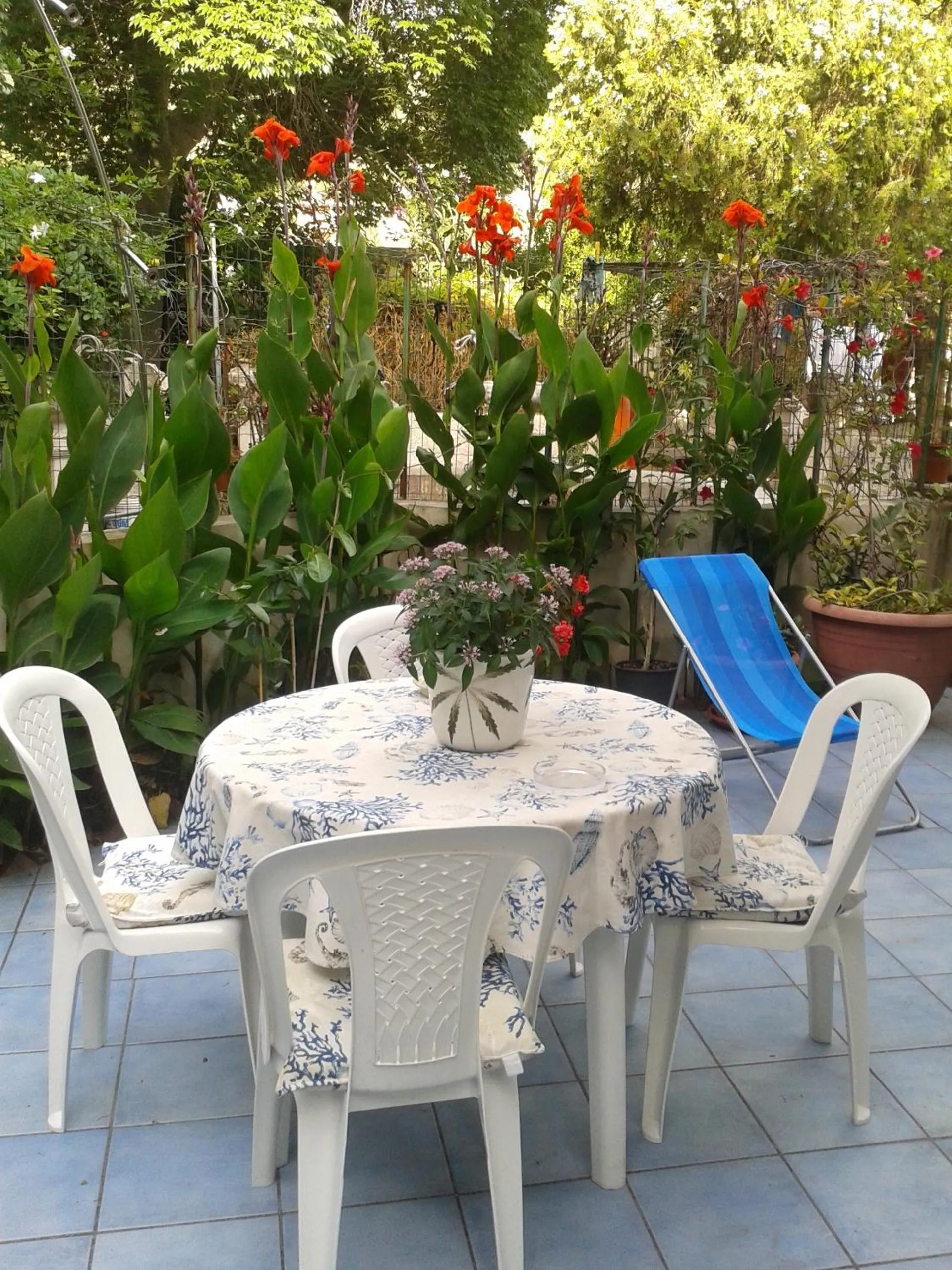 Garden in B&B Albatros