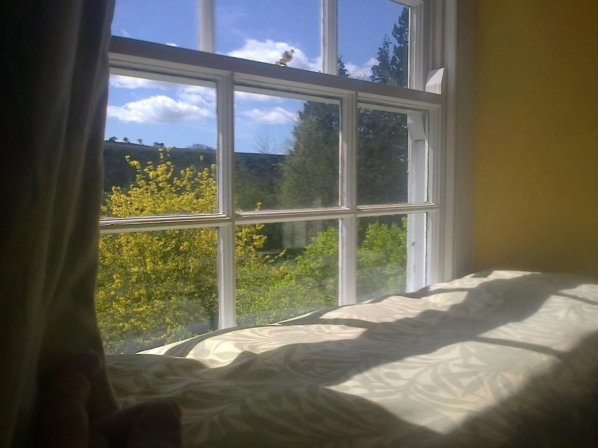 Decorative detail in Barmoors