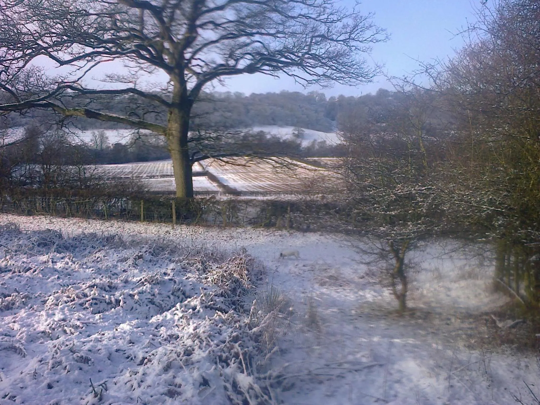 Neighbourhood in Barmoors