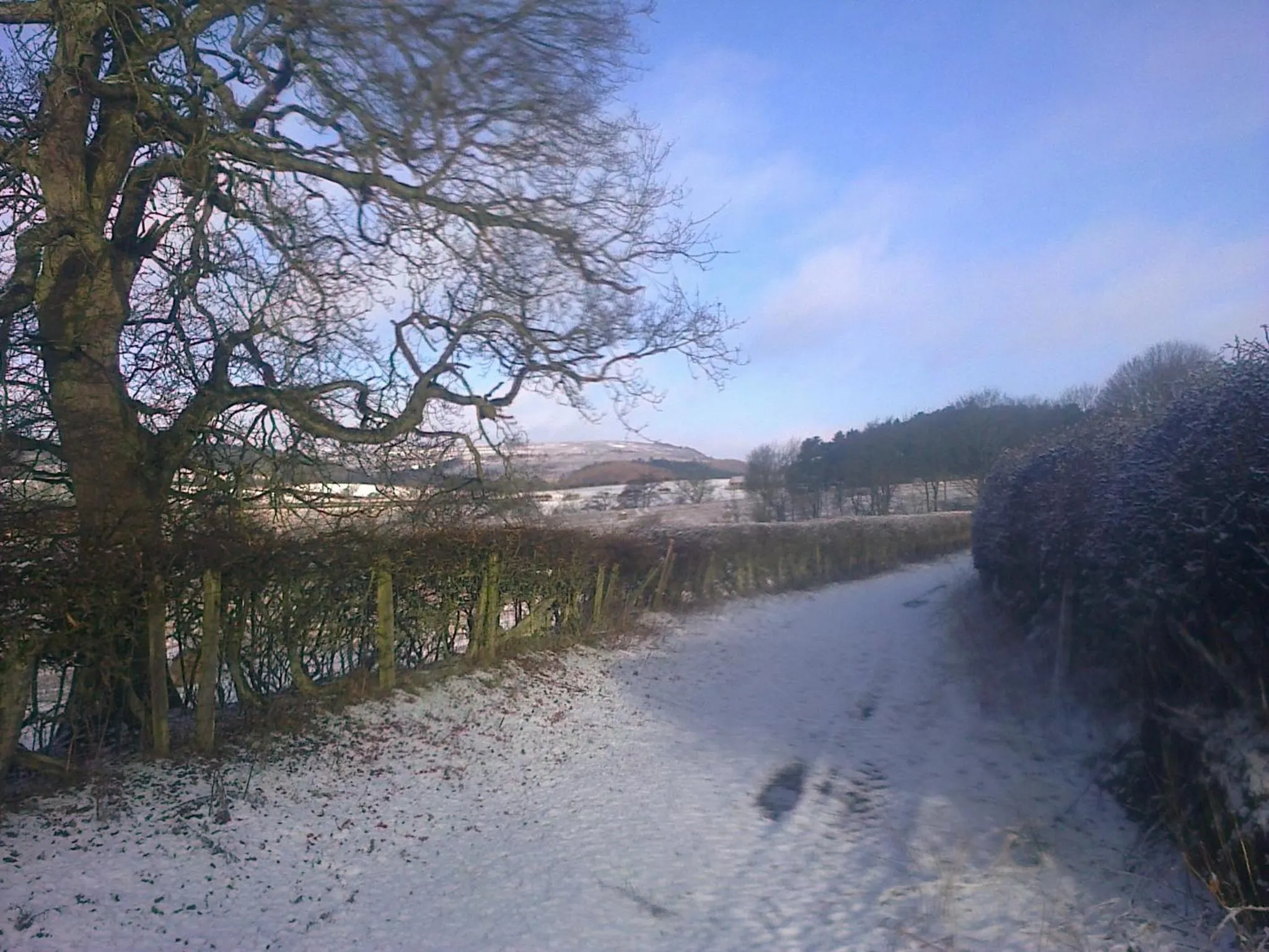 Neighbourhood in Barmoors