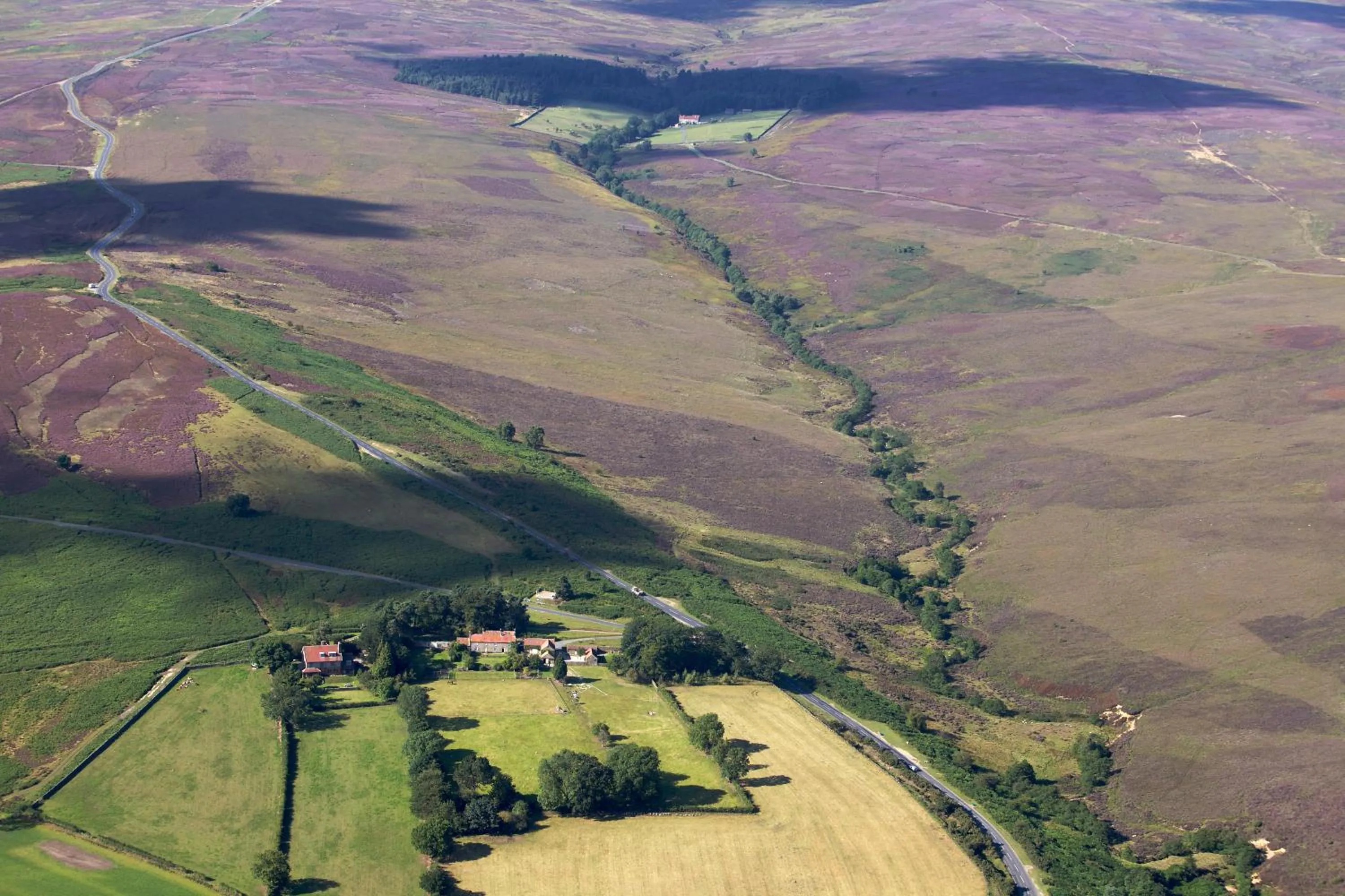 Bird's eye view in Barmoors