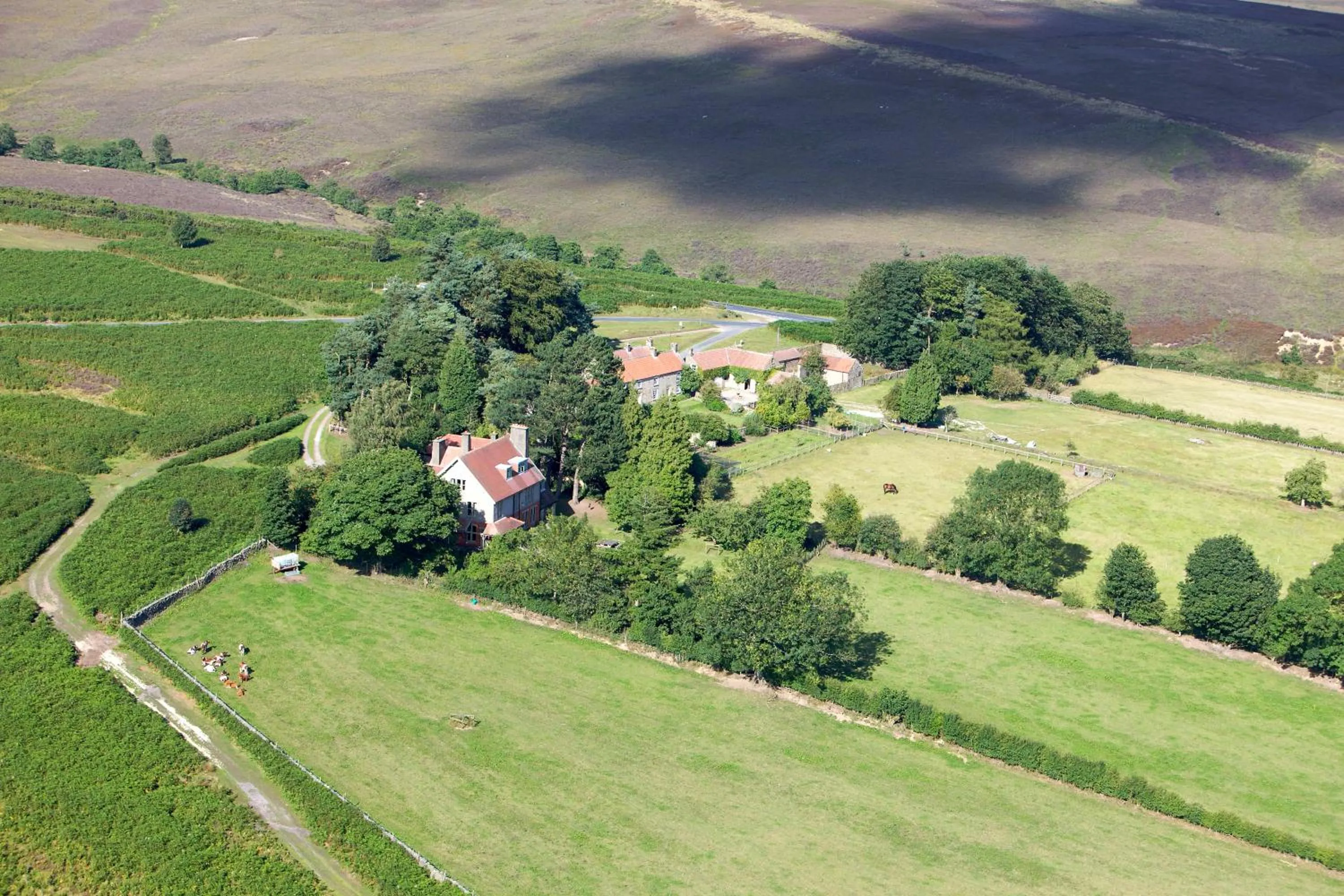 Bird's eye view in Barmoors