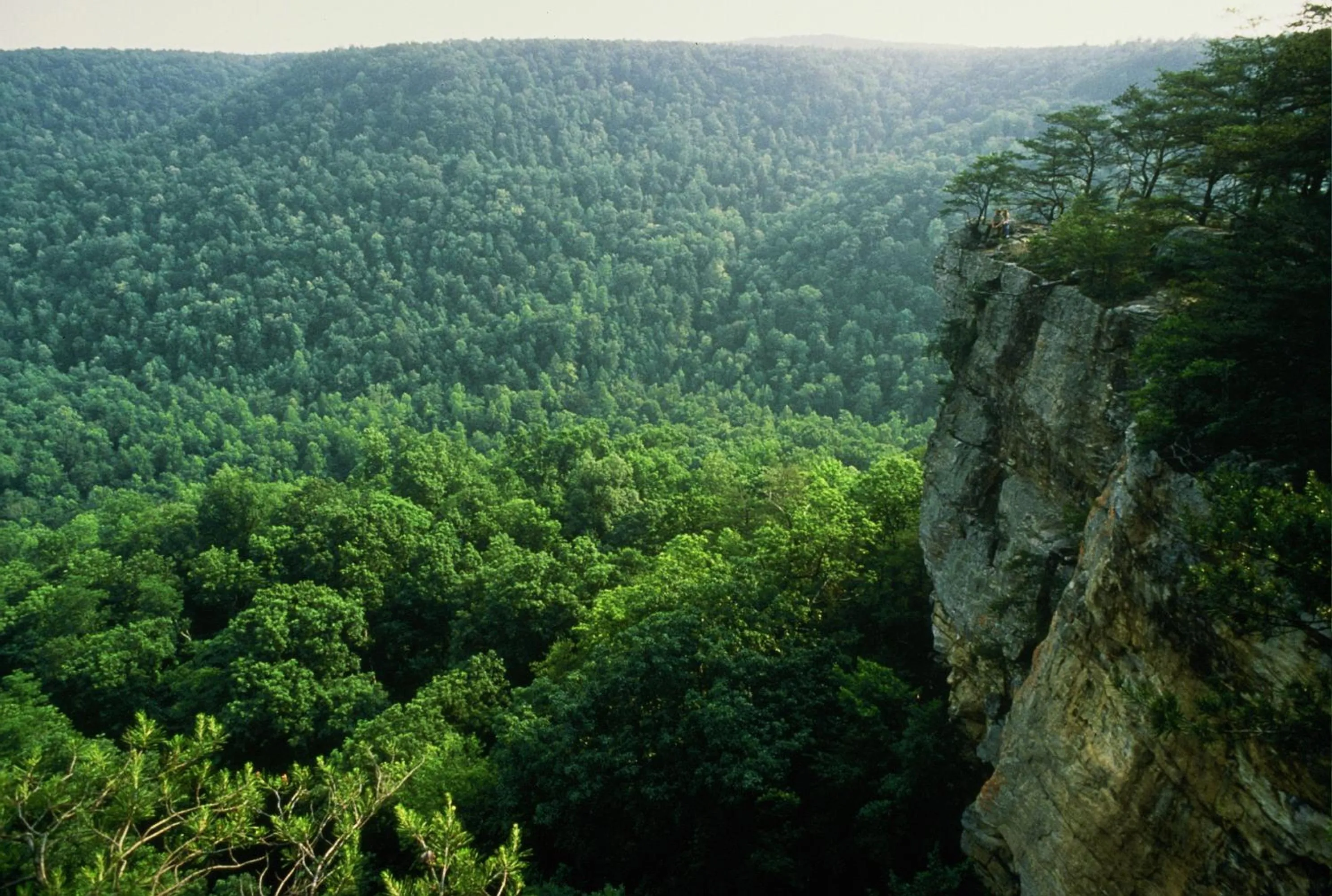 Natural landscape in The Smoke House Lodge