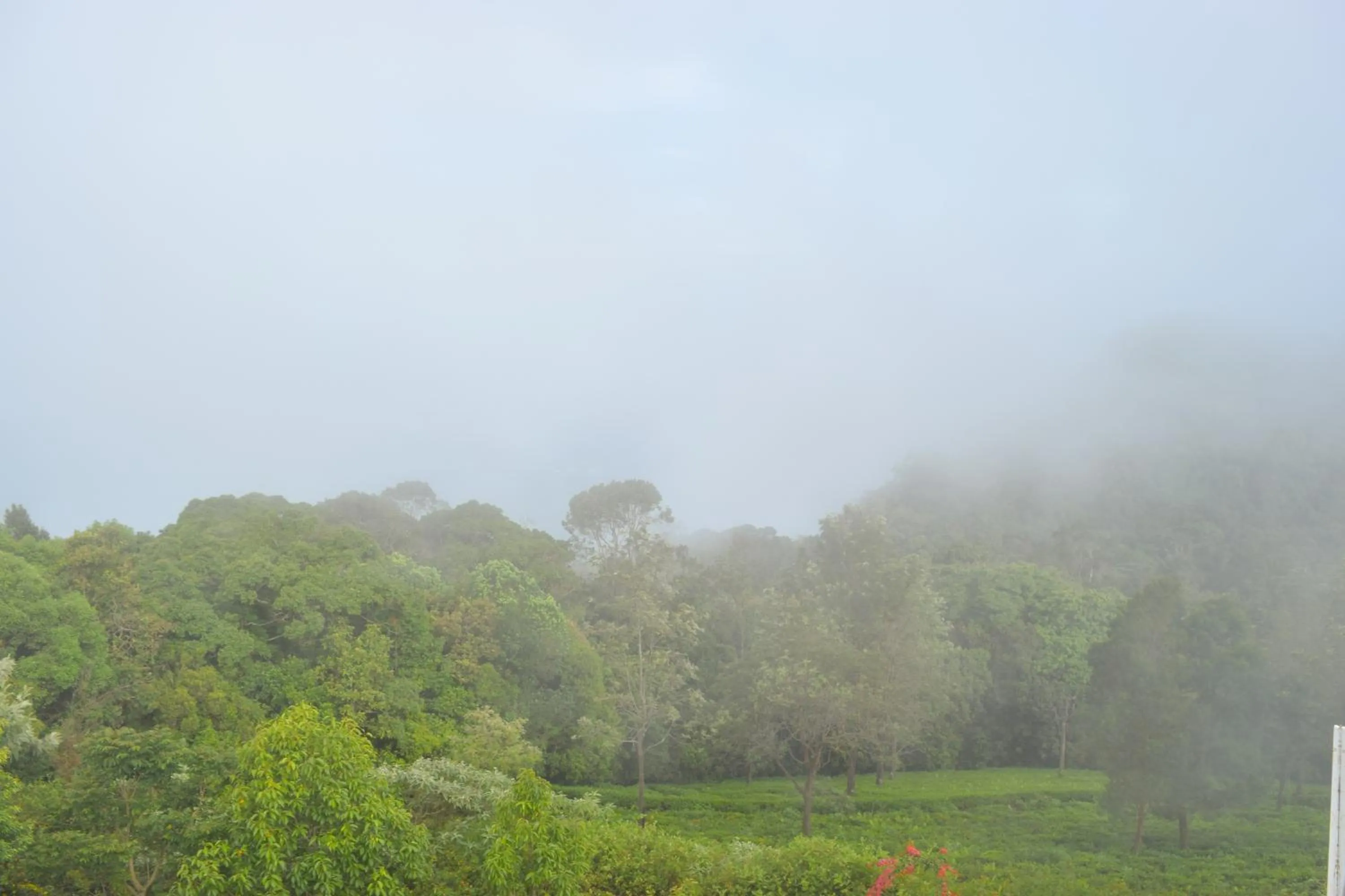 Day in Ibex Resorts, Coonoor - Tapas