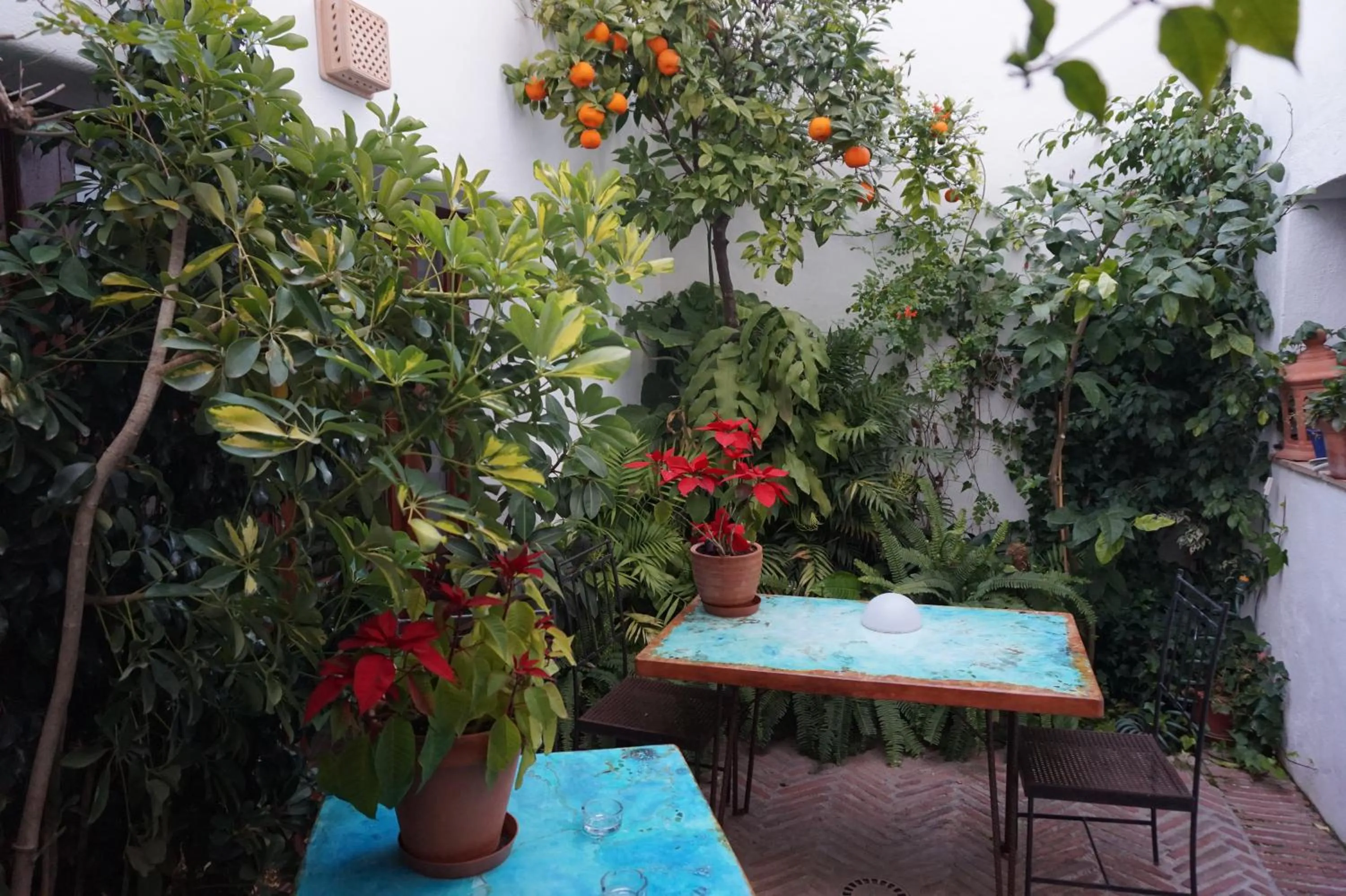 Patio in La Casa de la Iglesia