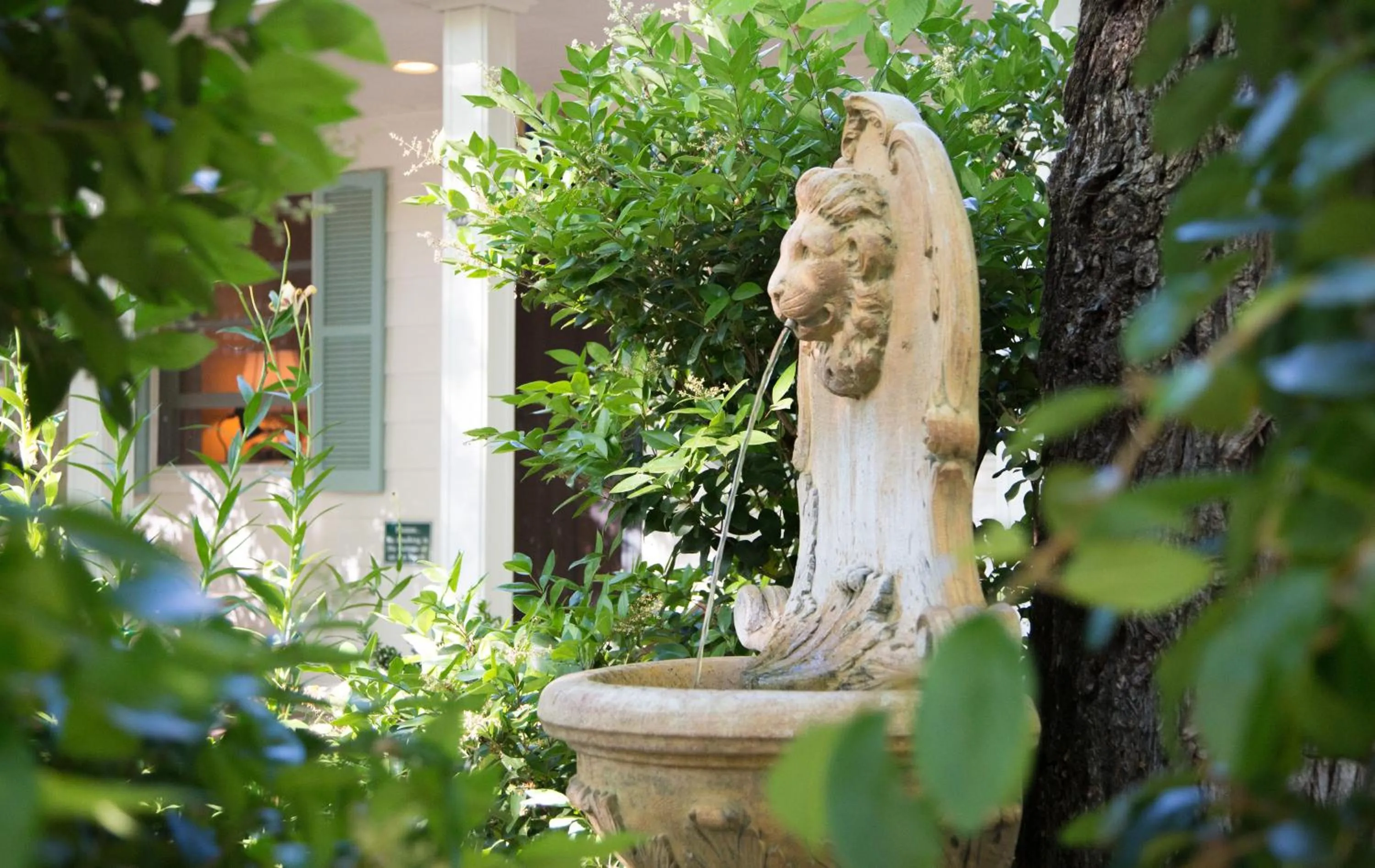 Garden in Cottage Grove Inn