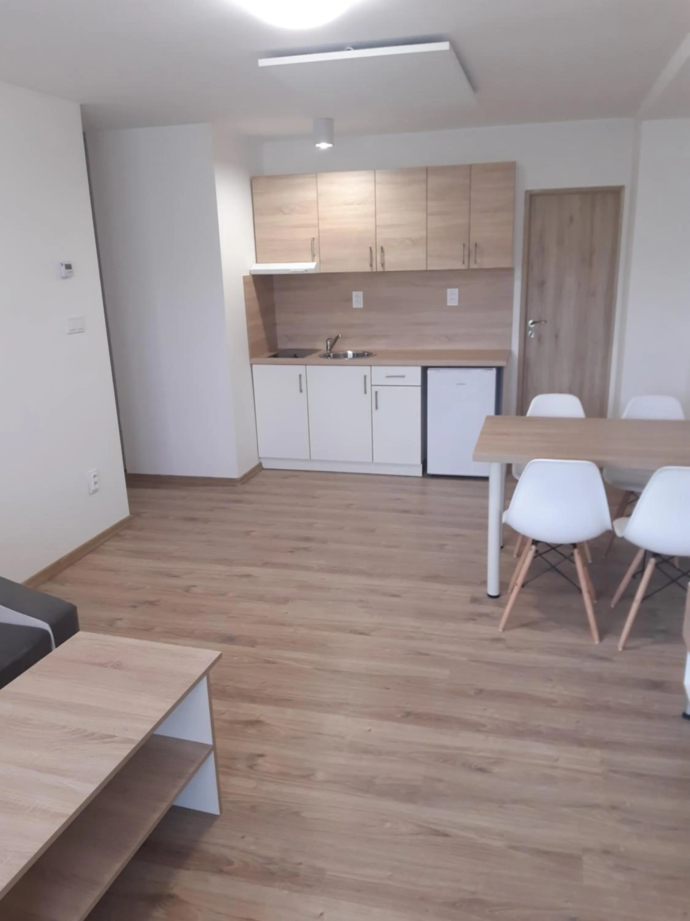 Kitchen or kitchenette in Hotel Felicia