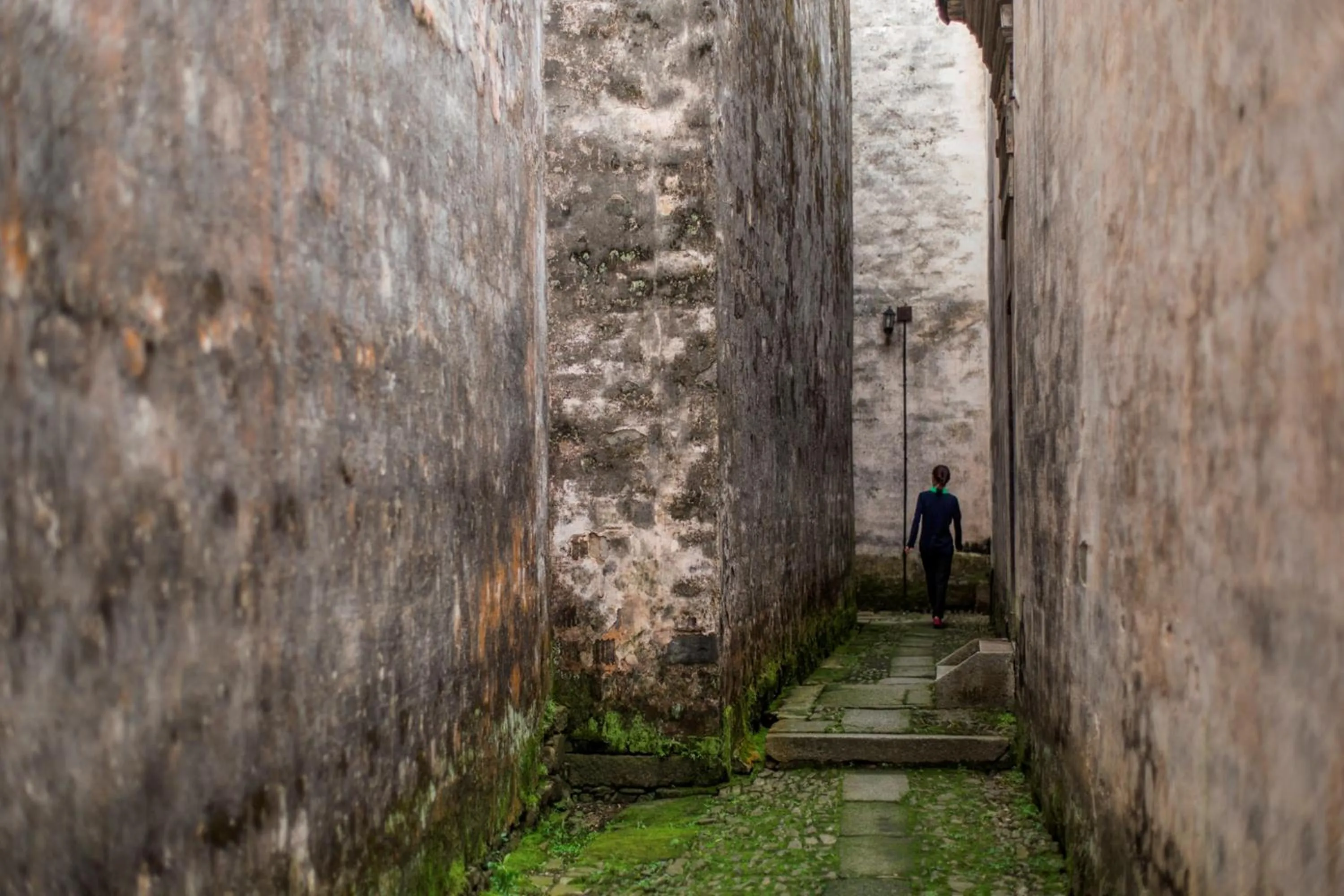 Day in Banyan Tree Huangshan
