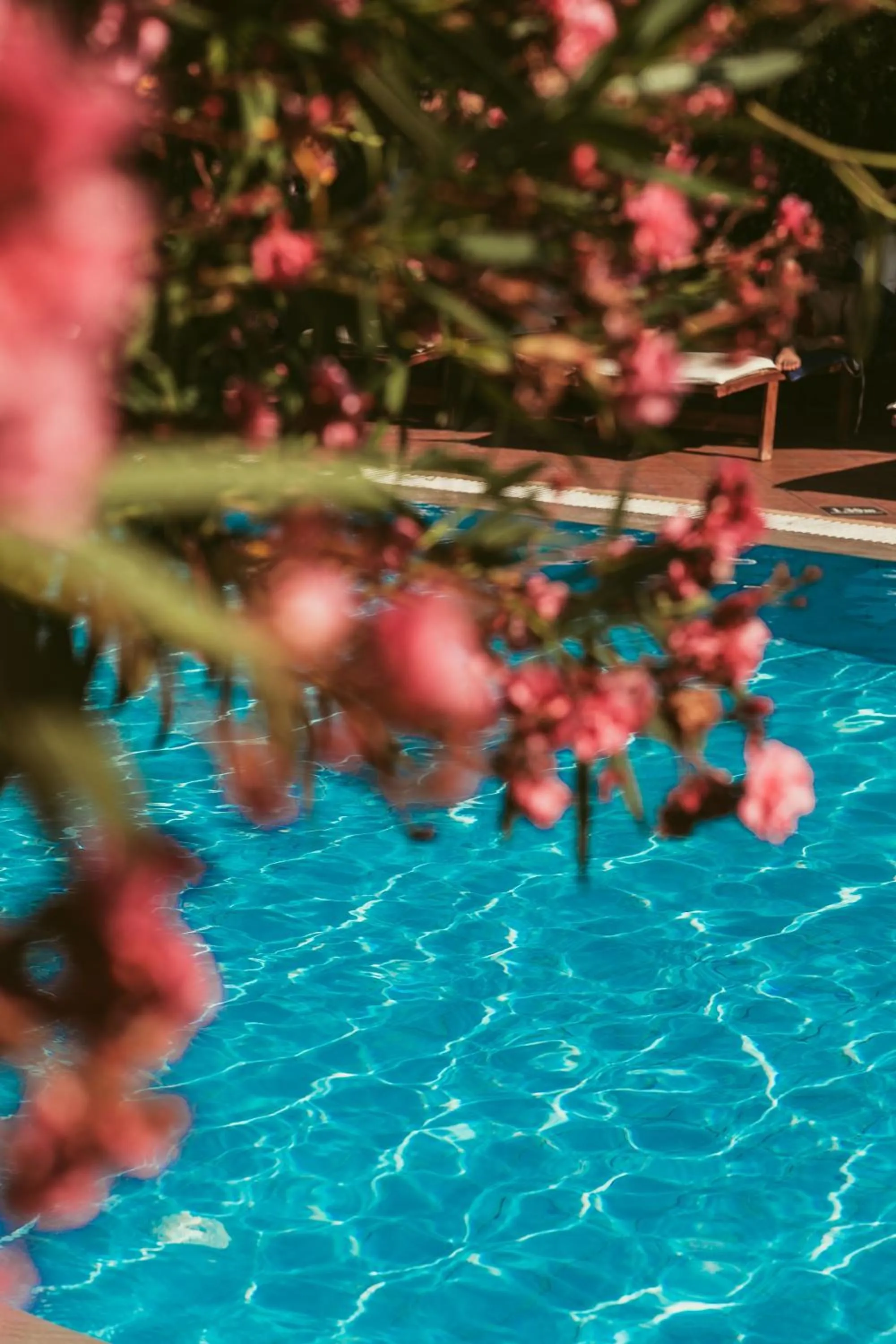 Swimming pool in Electra Hotel