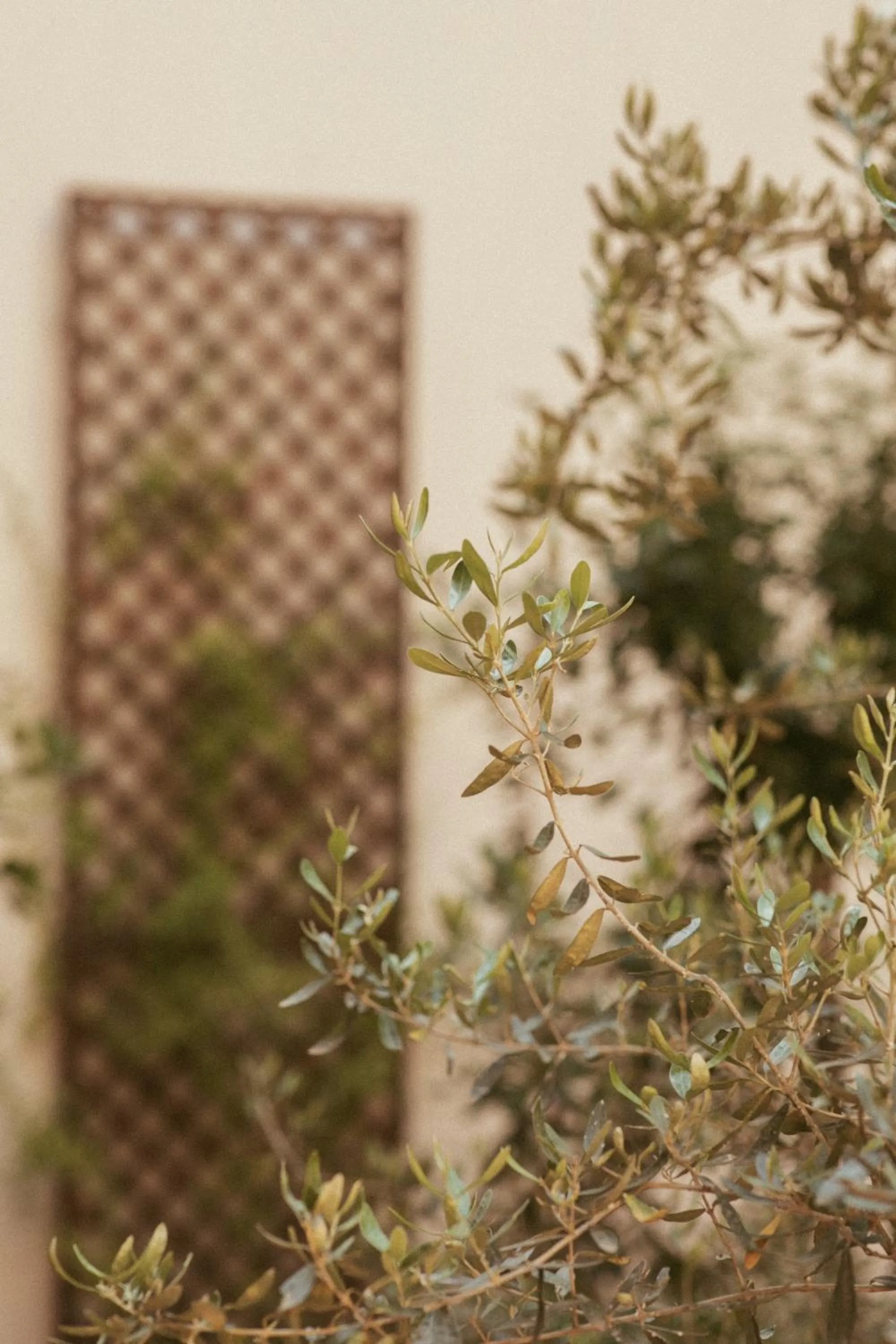 Patio in Electra Hotel