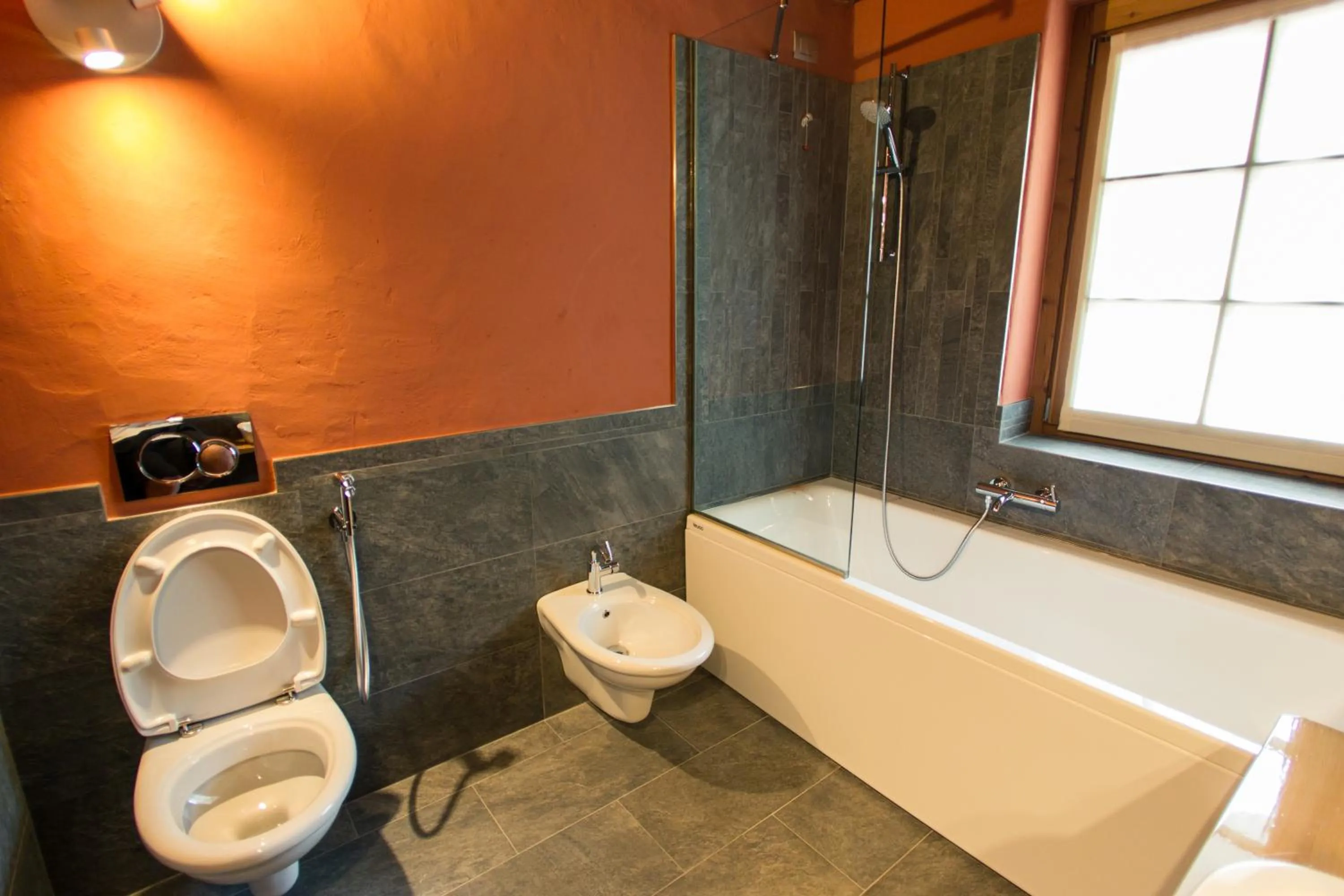 Toilet in Hotel Les Montagnards