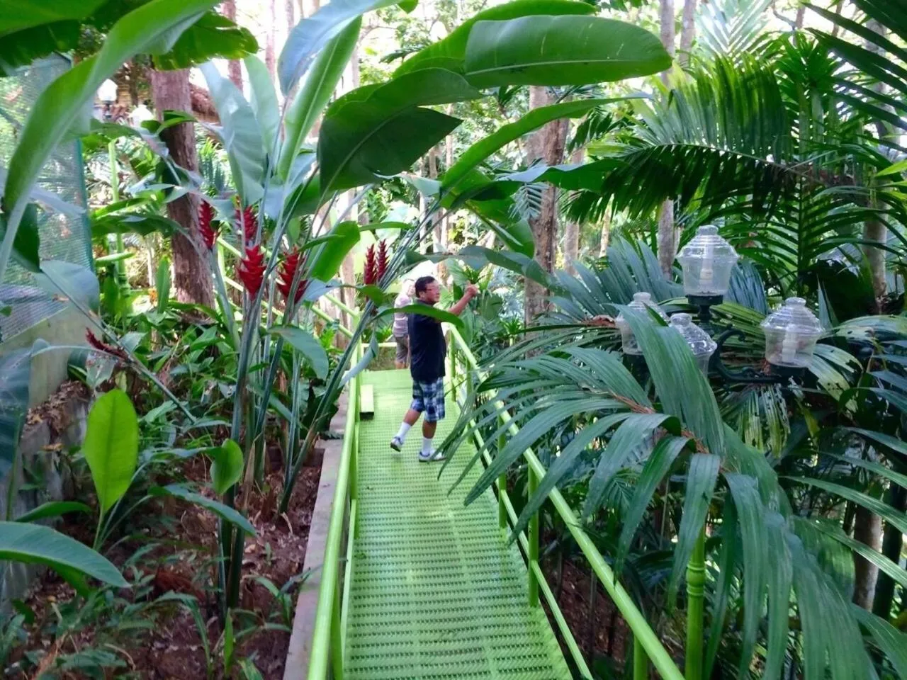 Day in Phu Pha Nam Resort