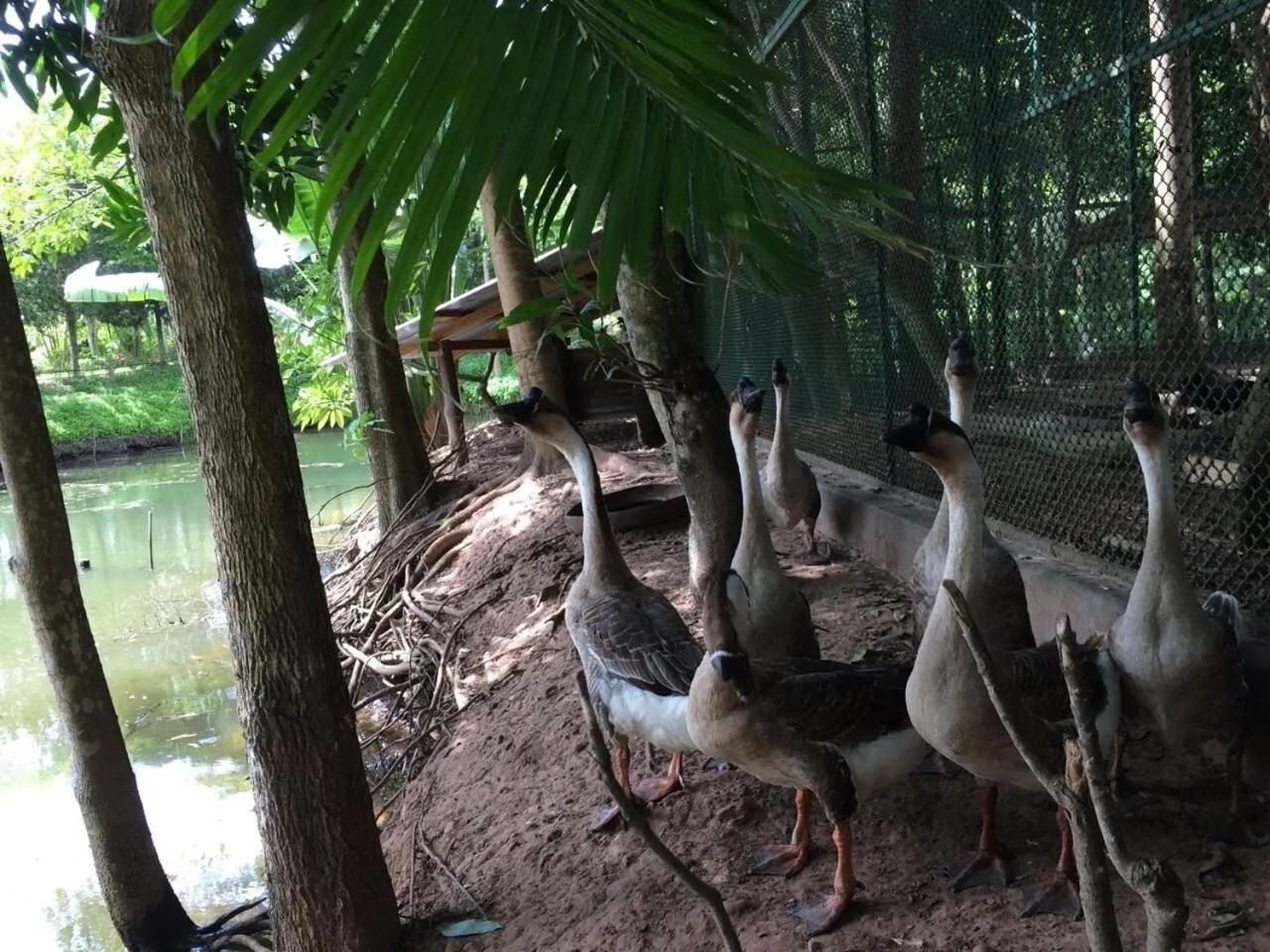 Day in Phu Pha Nam Resort