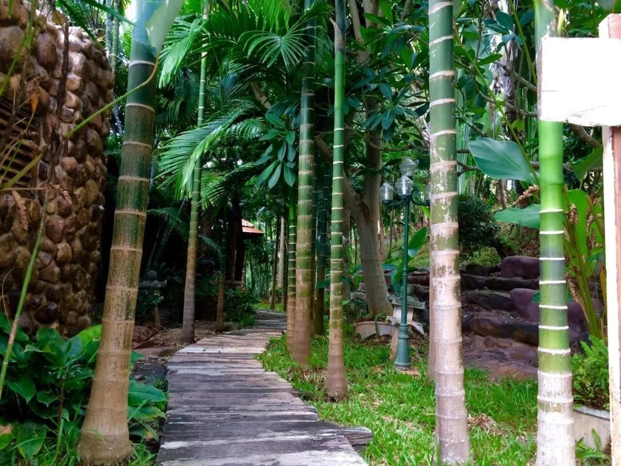 Other in Phu Pha Nam Resort