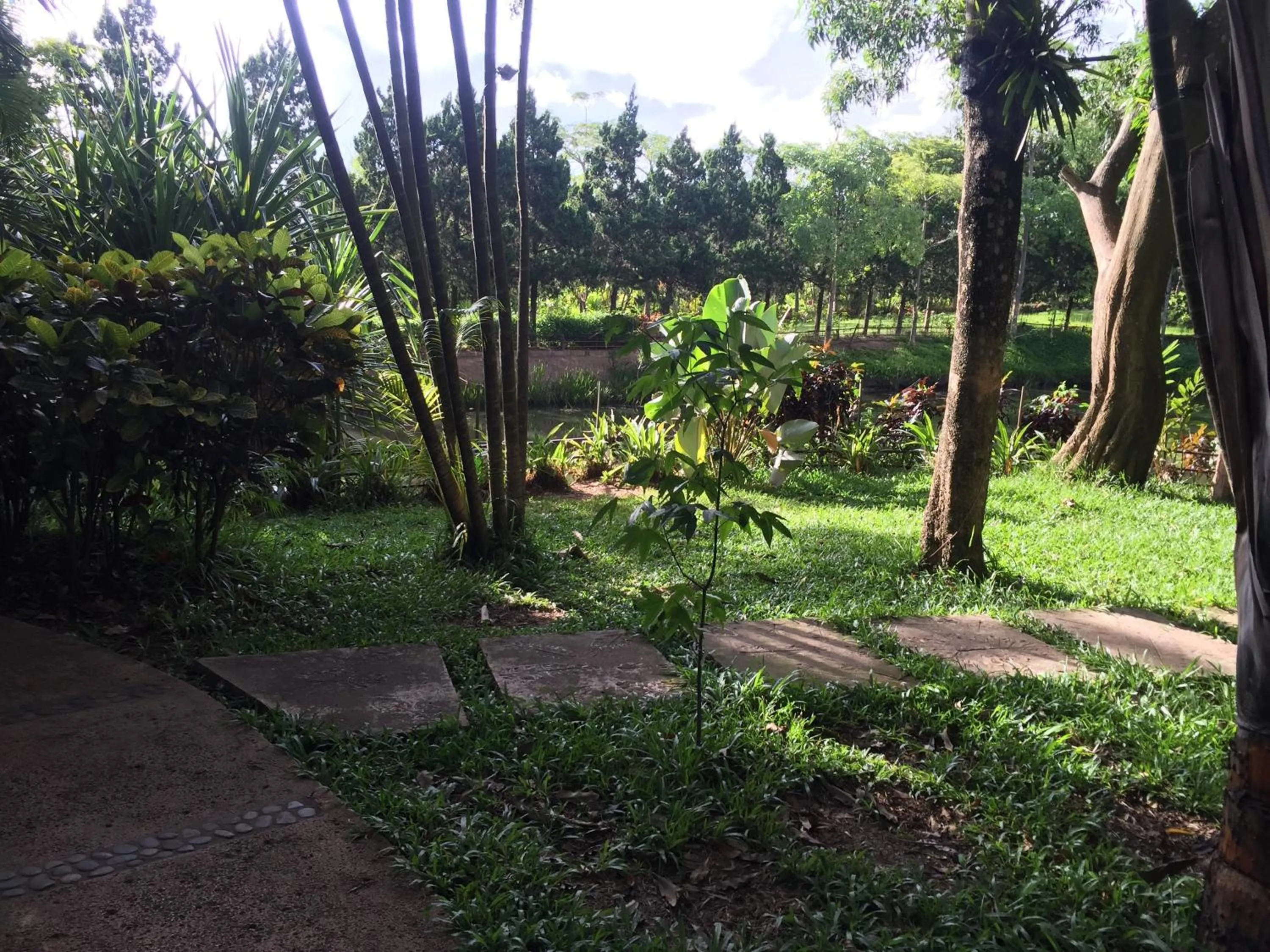 Day in Phu Pha Nam Resort