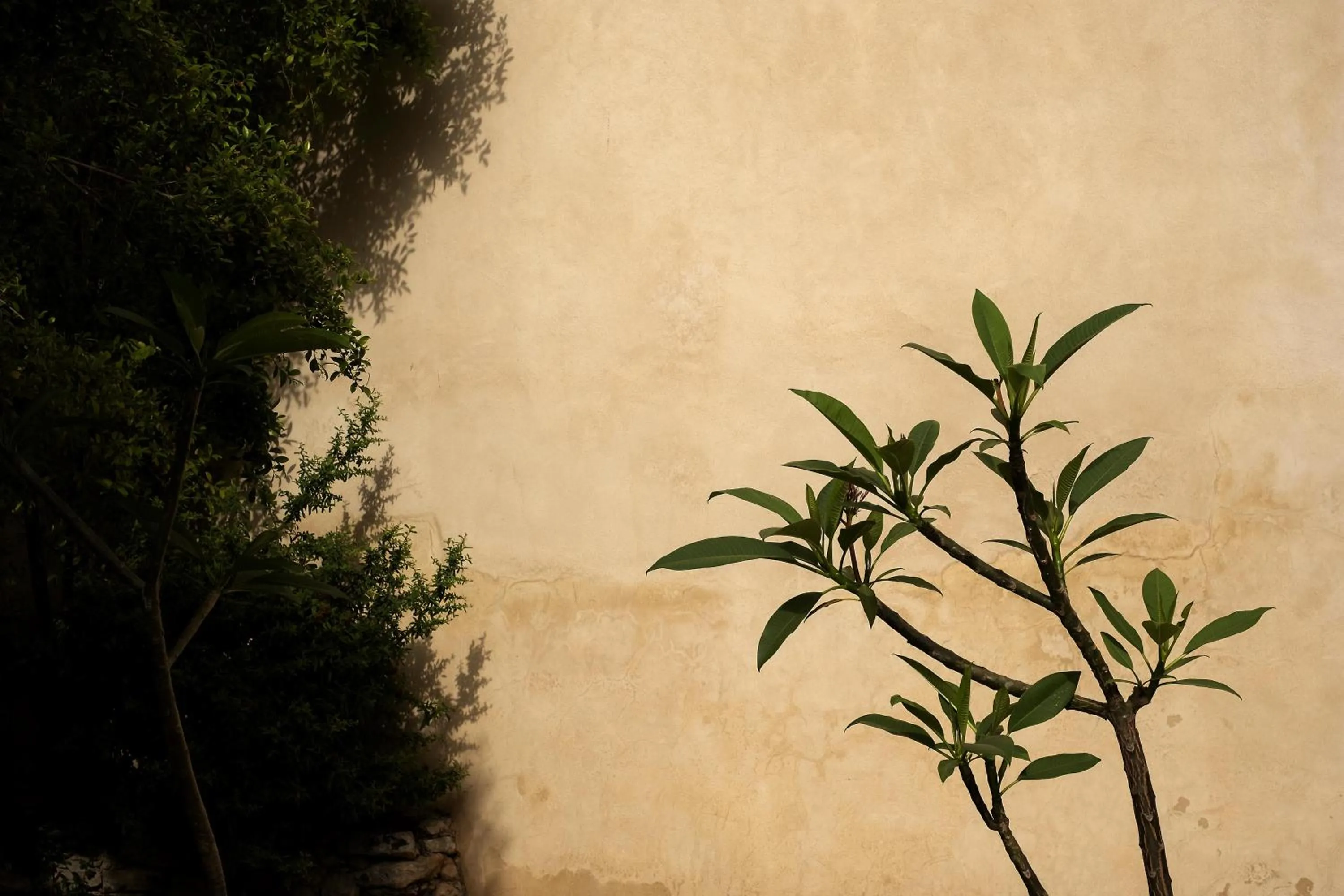 Garden in Villa Boscarino Boutique Hotel & Spa