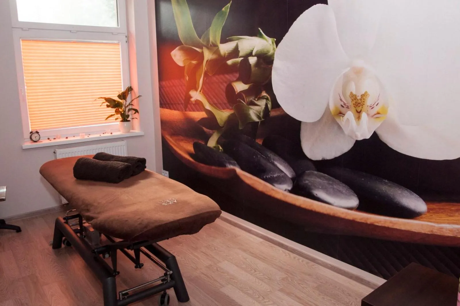 Activities in Hotel Klaudia