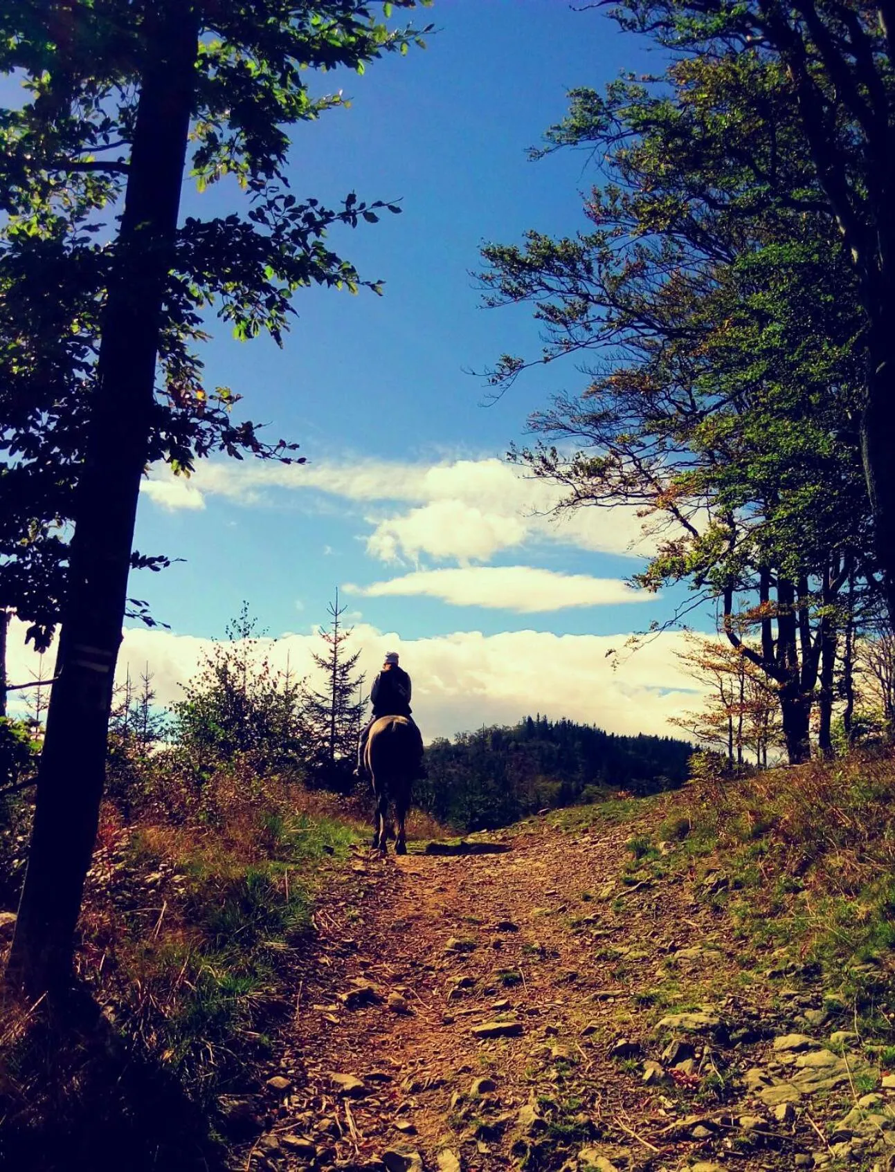 Spring in Hotel Klaudia