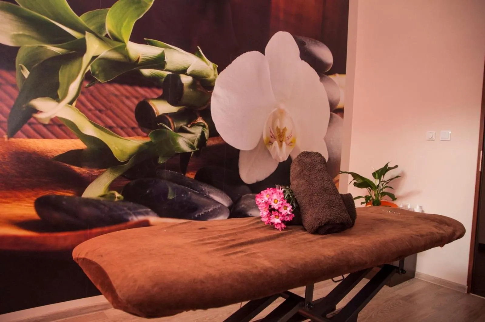 Activities in Hotel Klaudia