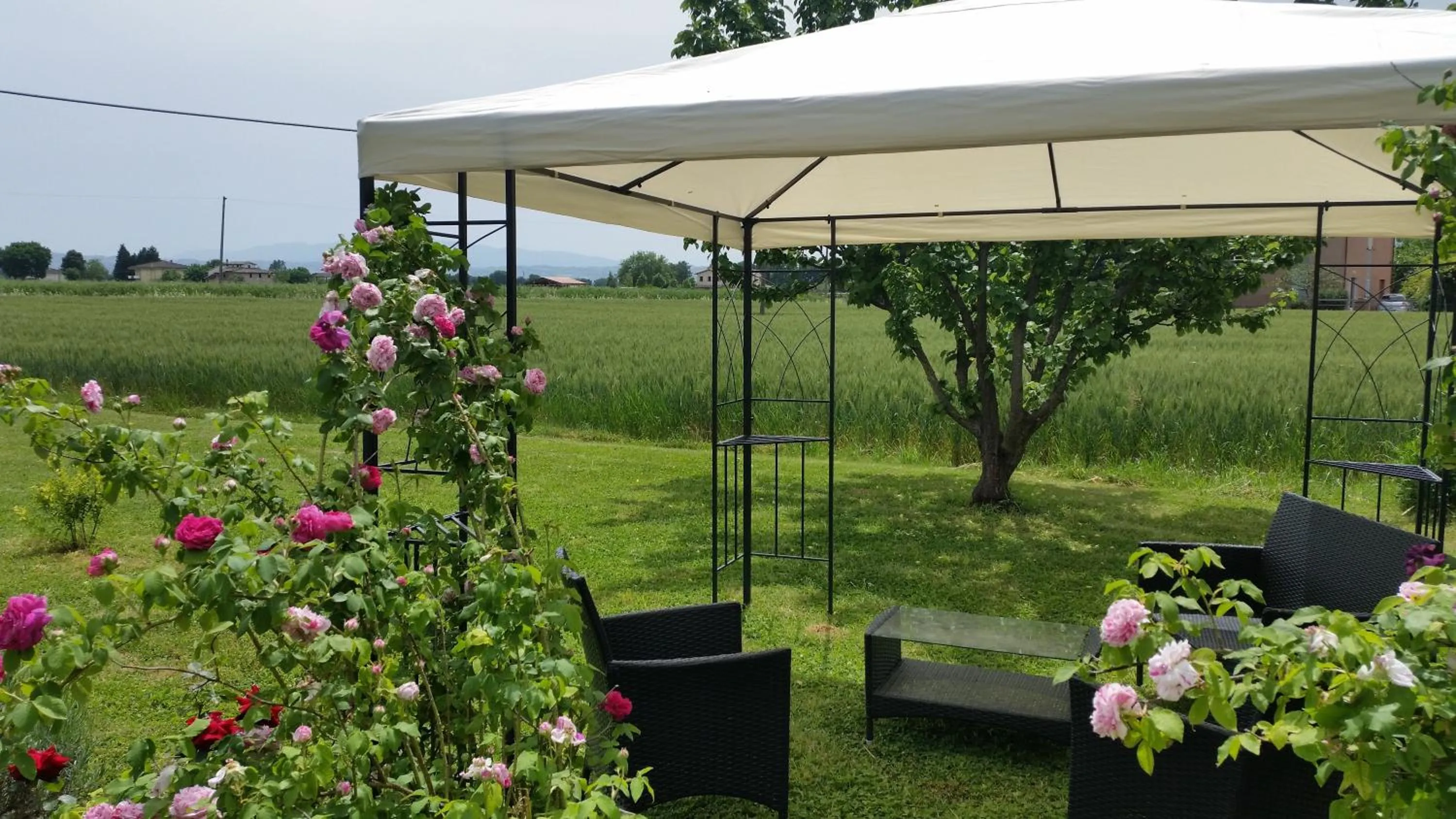 Natural landscape in B&B Le Rose