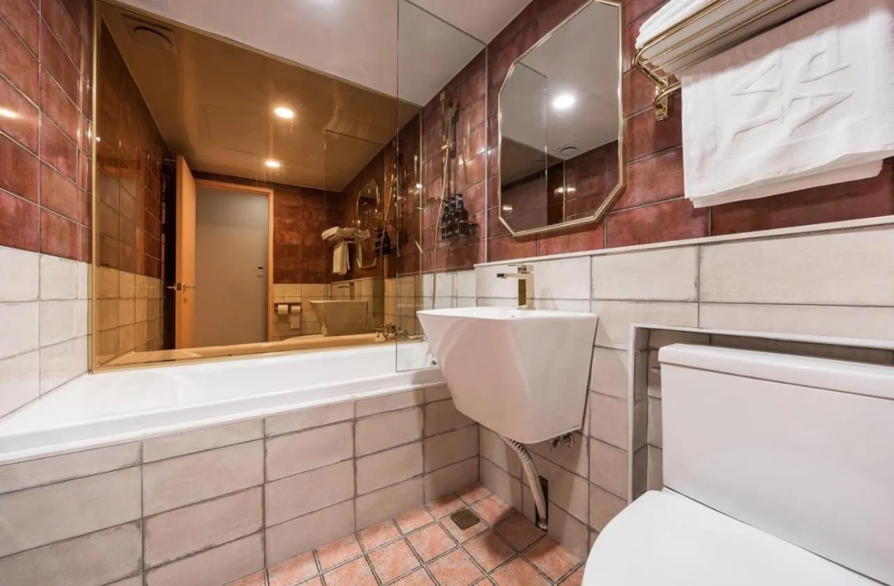 Shower in Hotel Ravi