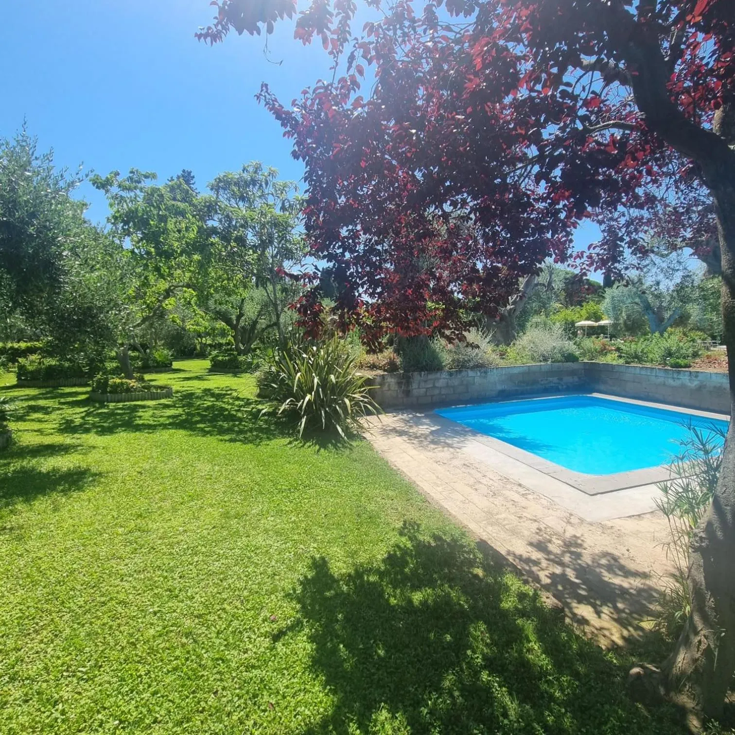 Natural landscape in Residence Solemaremma