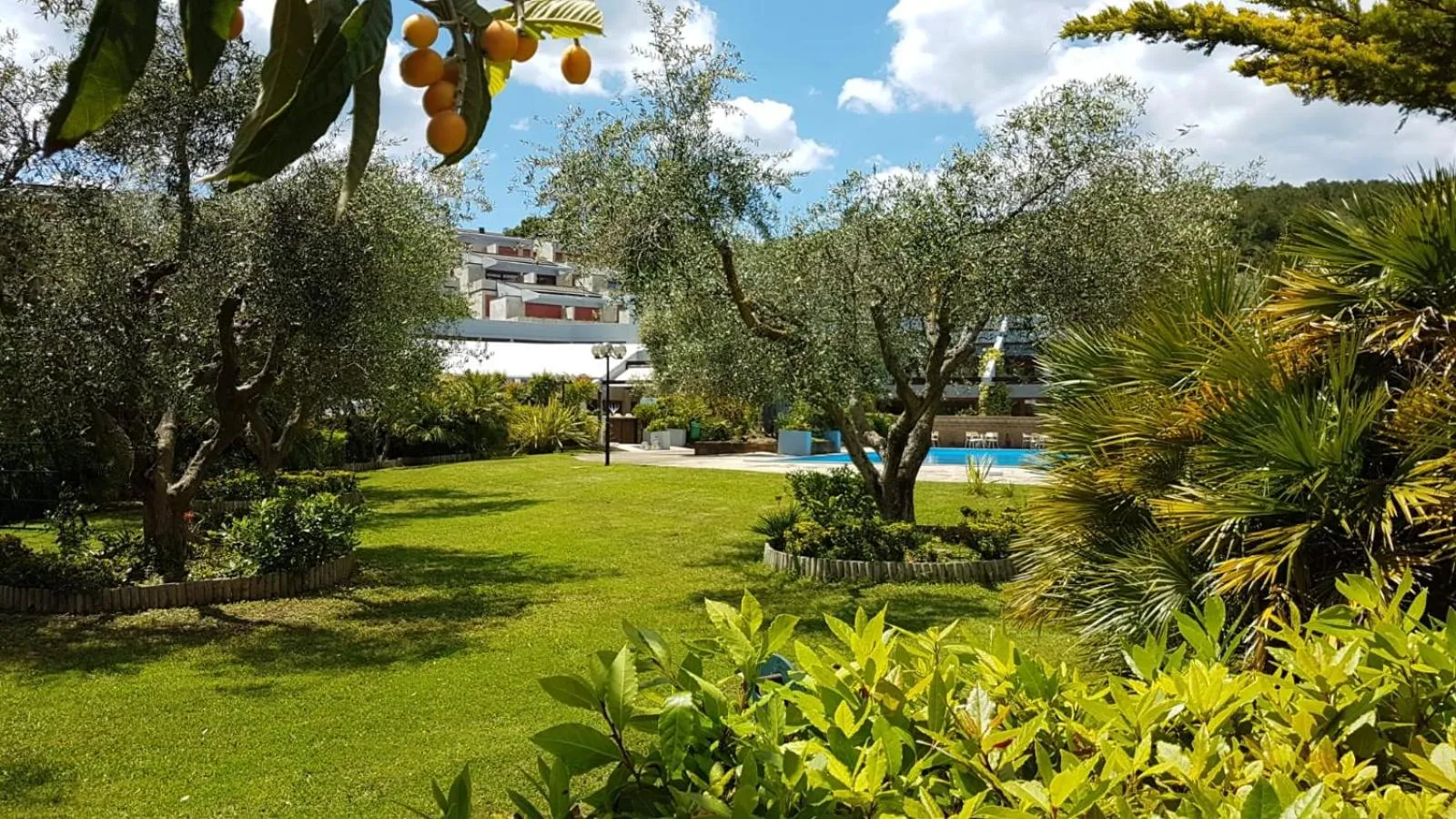 Garden in Residence Solemaremma