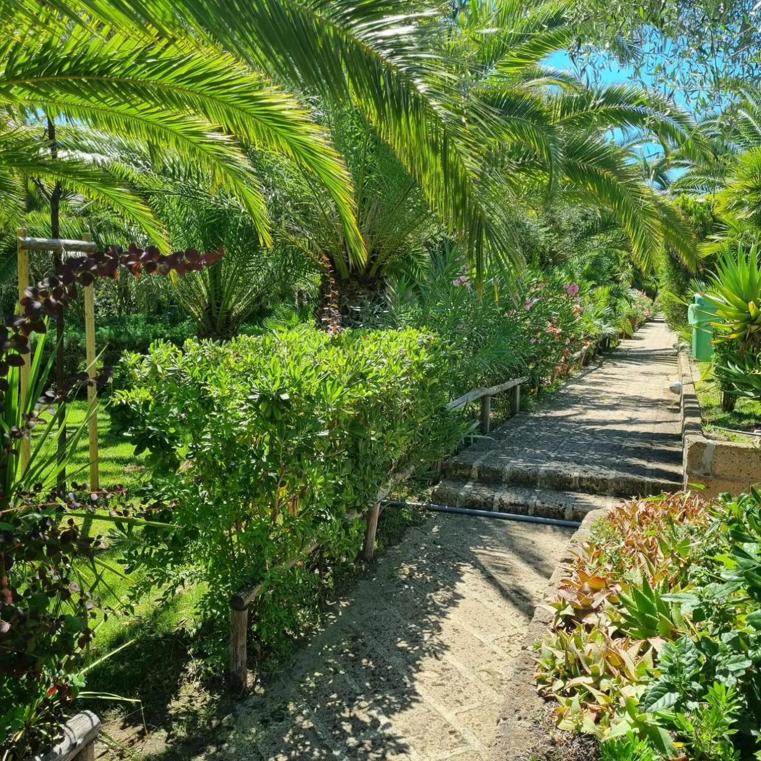 Spring in Residence Solemaremma