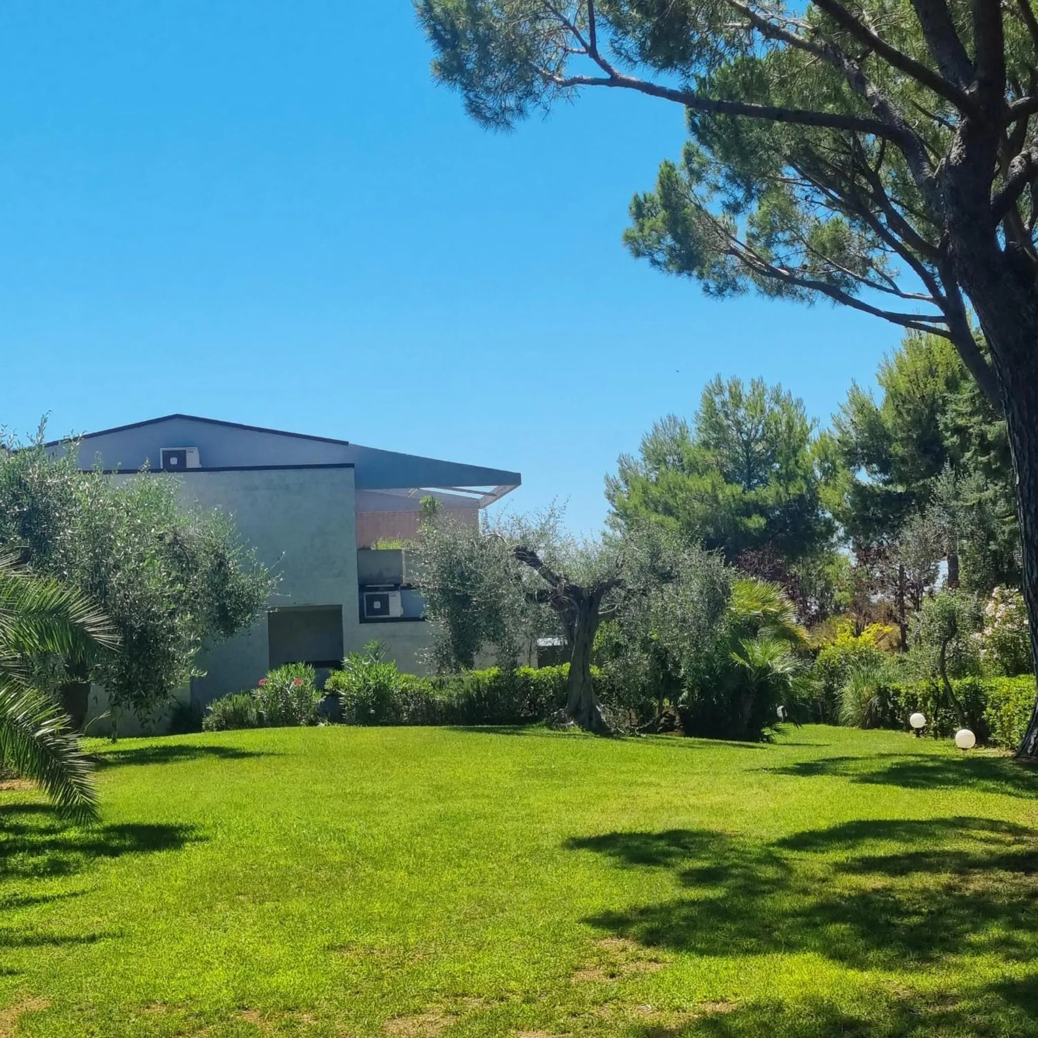 Garden in Residence Solemaremma