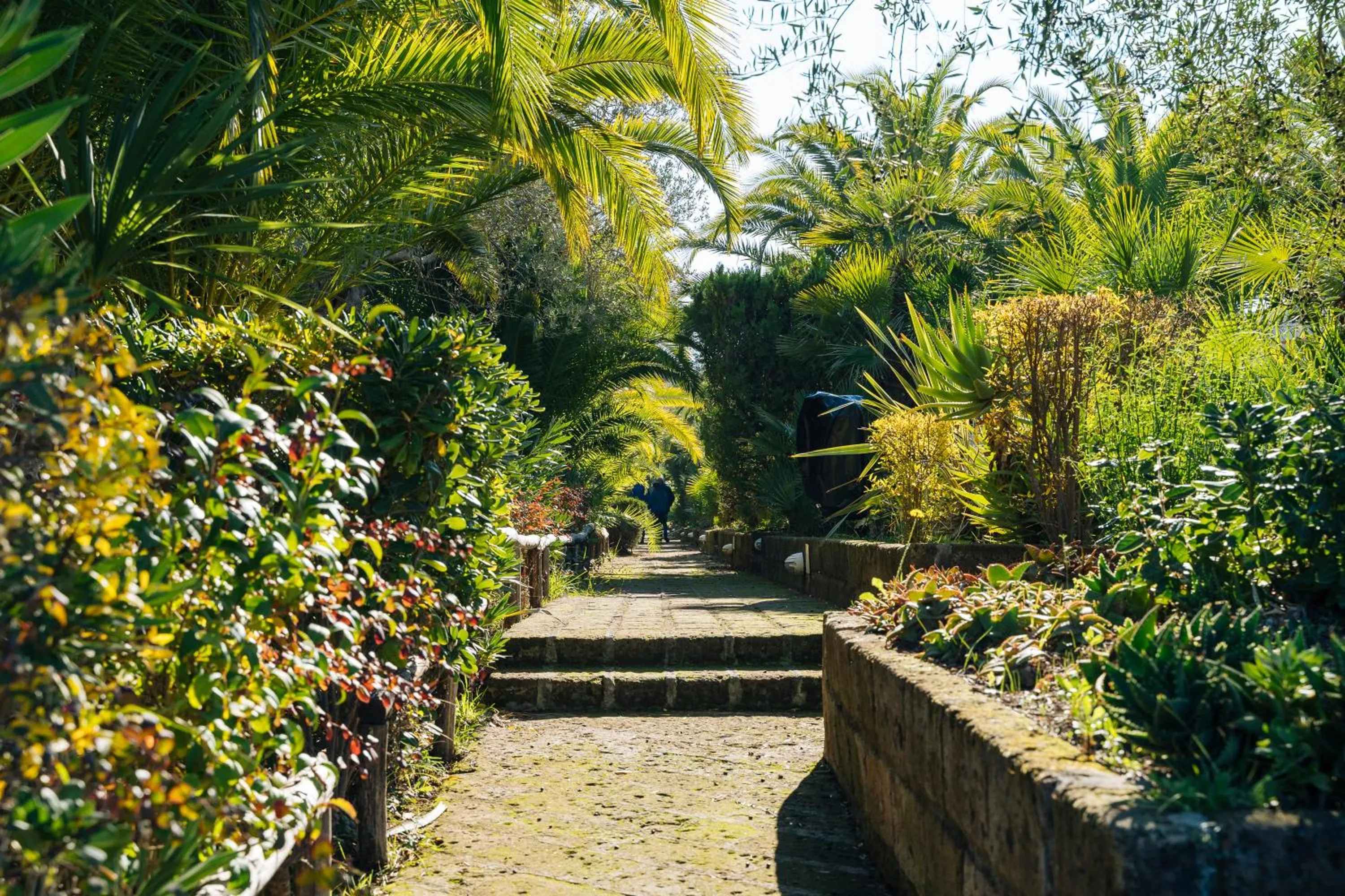 Garden in Residence Solemaremma
