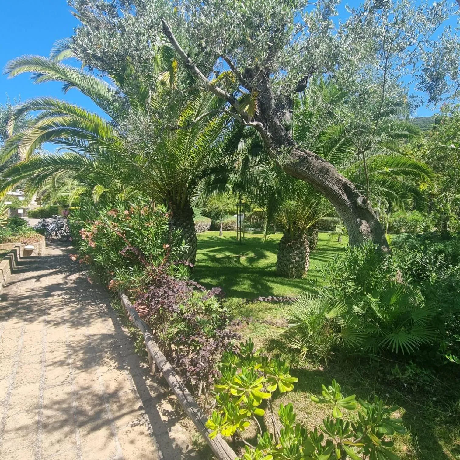 Natural landscape in Residence Solemaremma