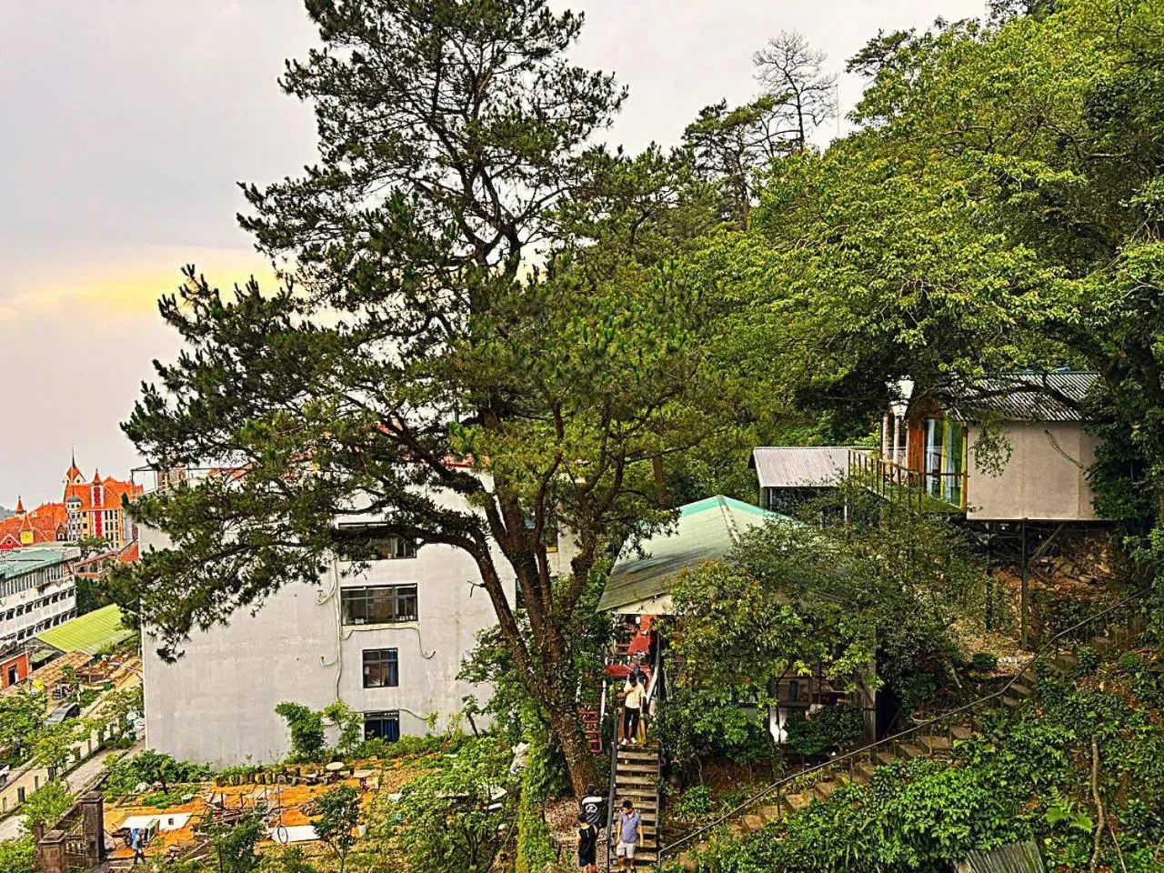 Natural landscape in Chân Mây Tam Đảo