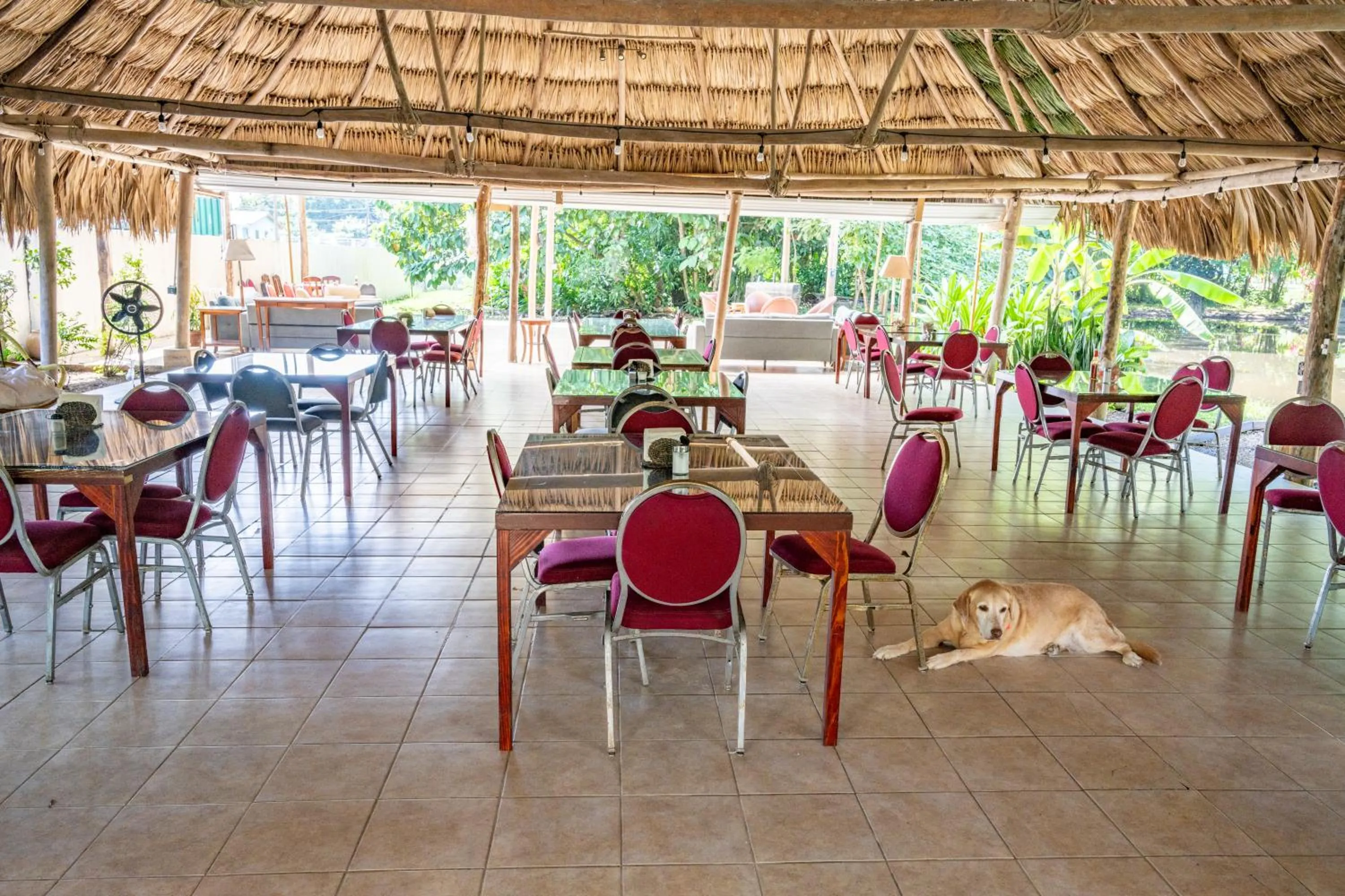 Restaurant/places to eat in Drift Inn Cayo