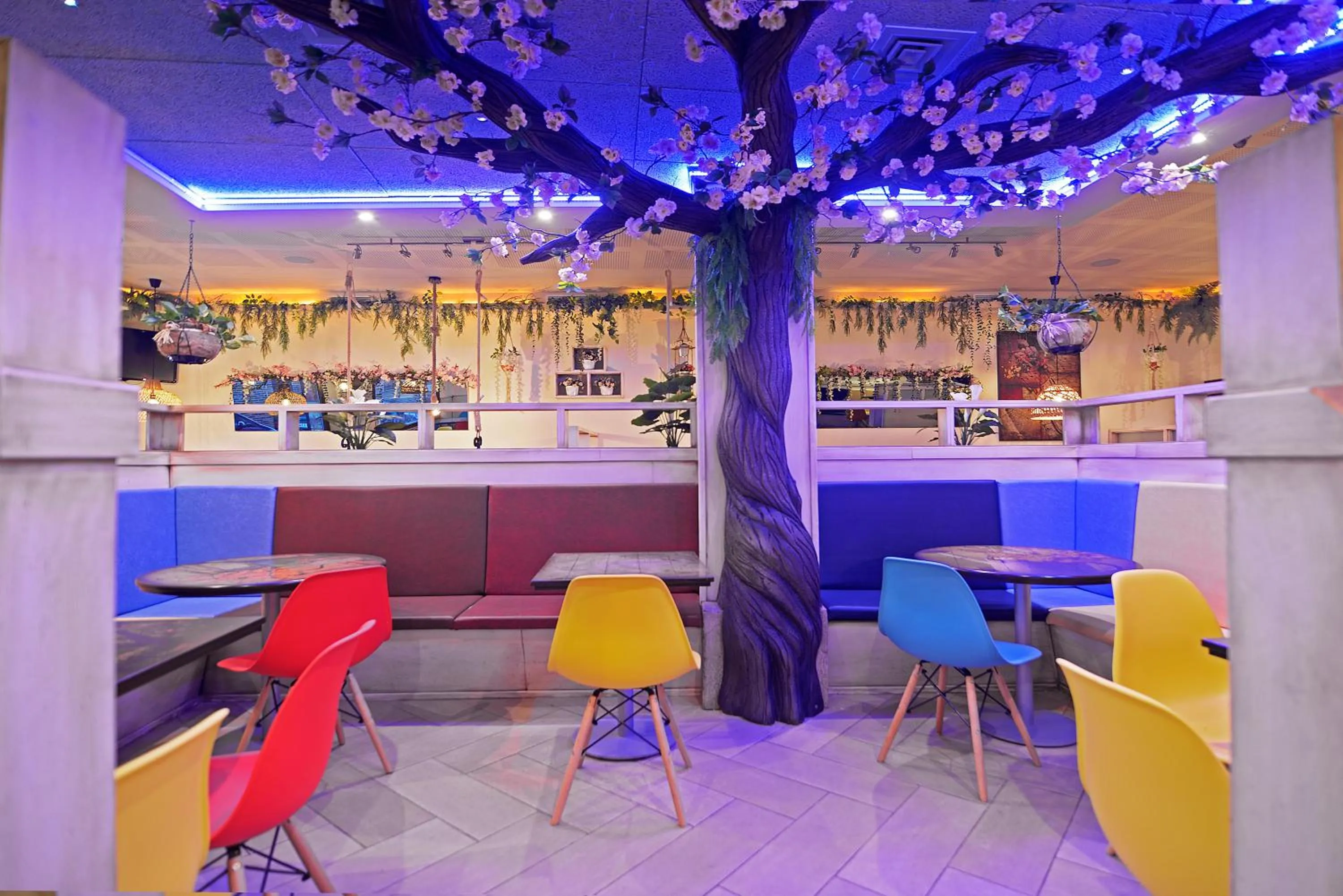 Restaurant/places to eat in El Volante