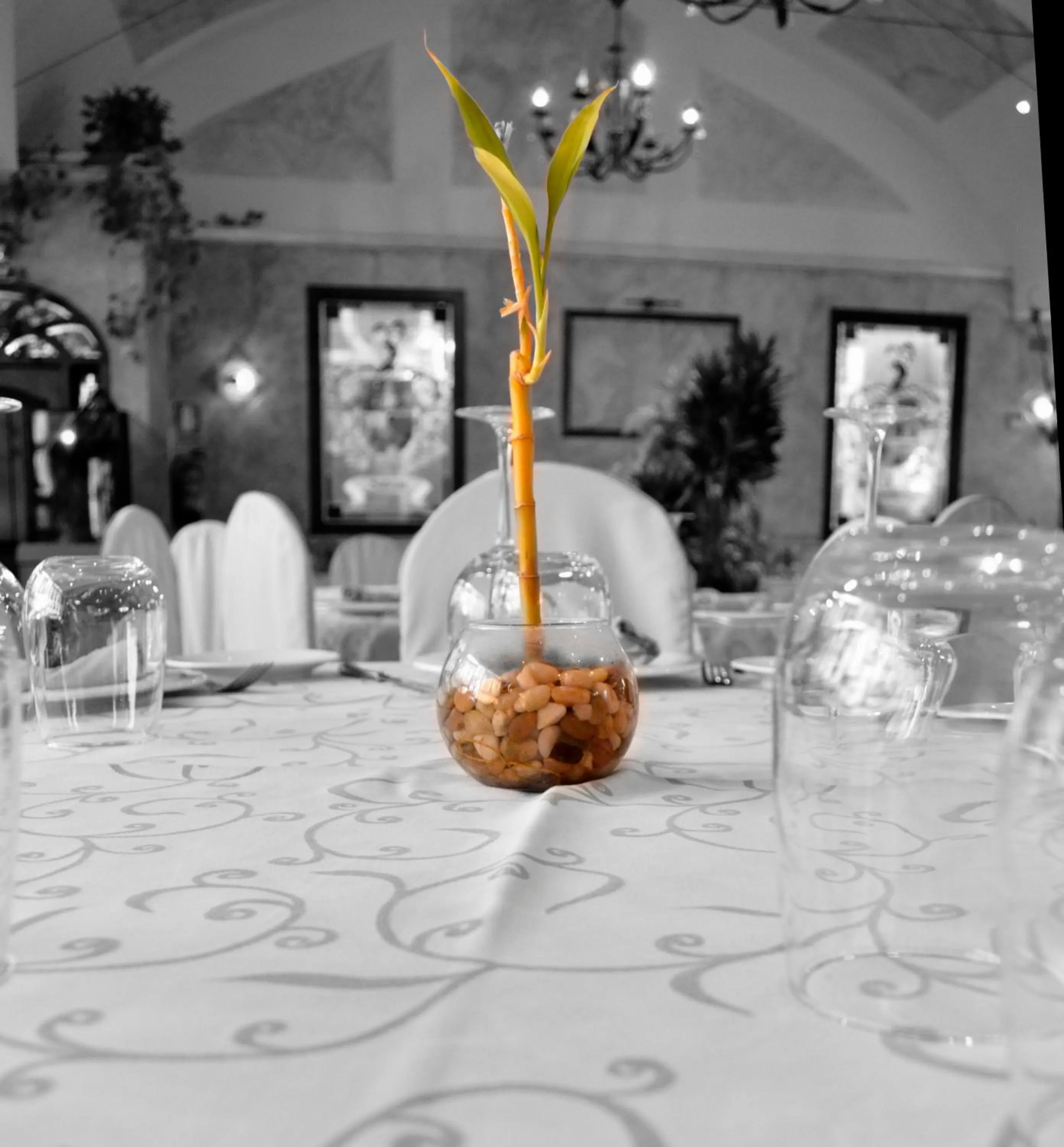 Restaurant/places to eat in El Volante