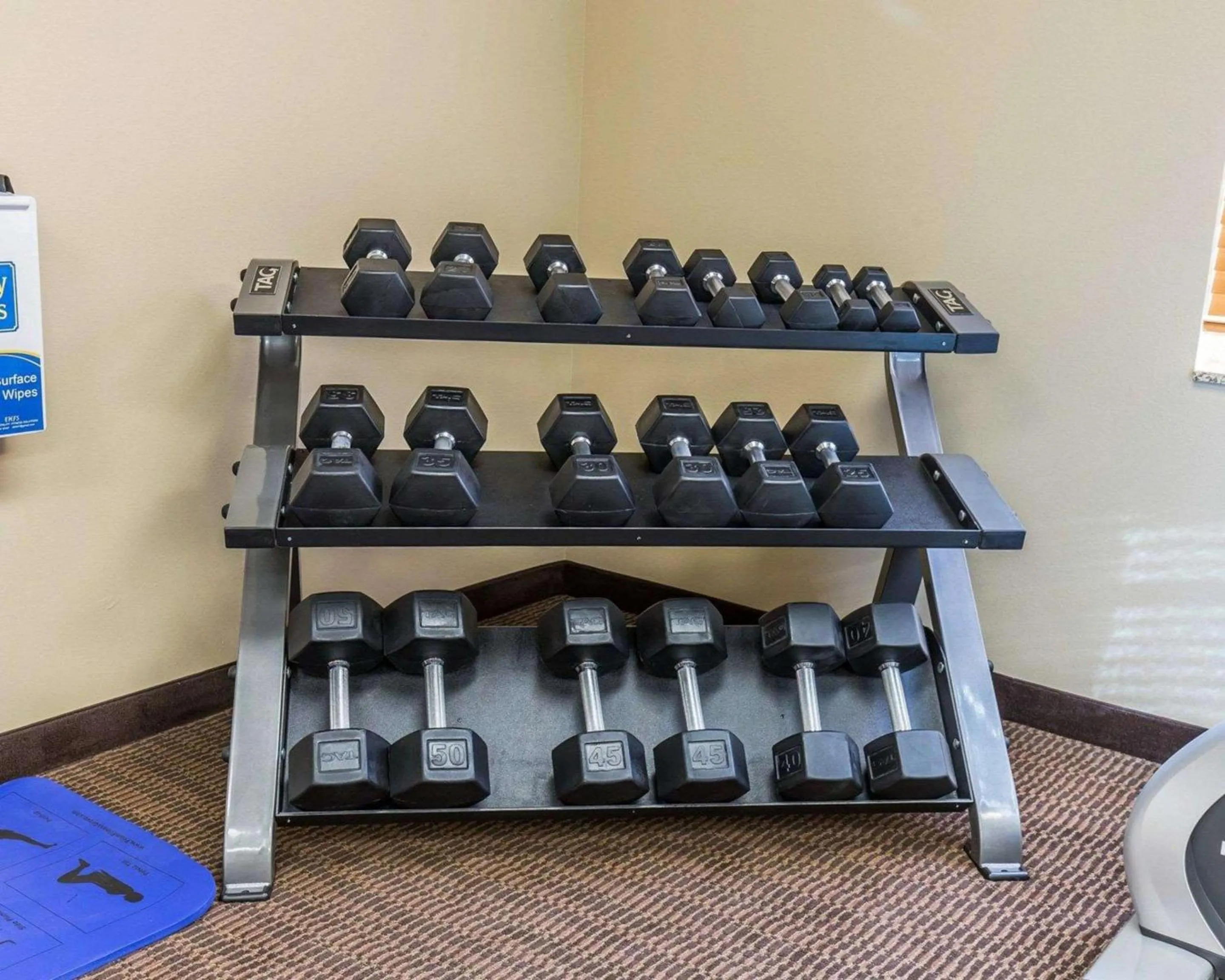 Fitness centre/facilities in MainStay Suites Sidney - Medical Center