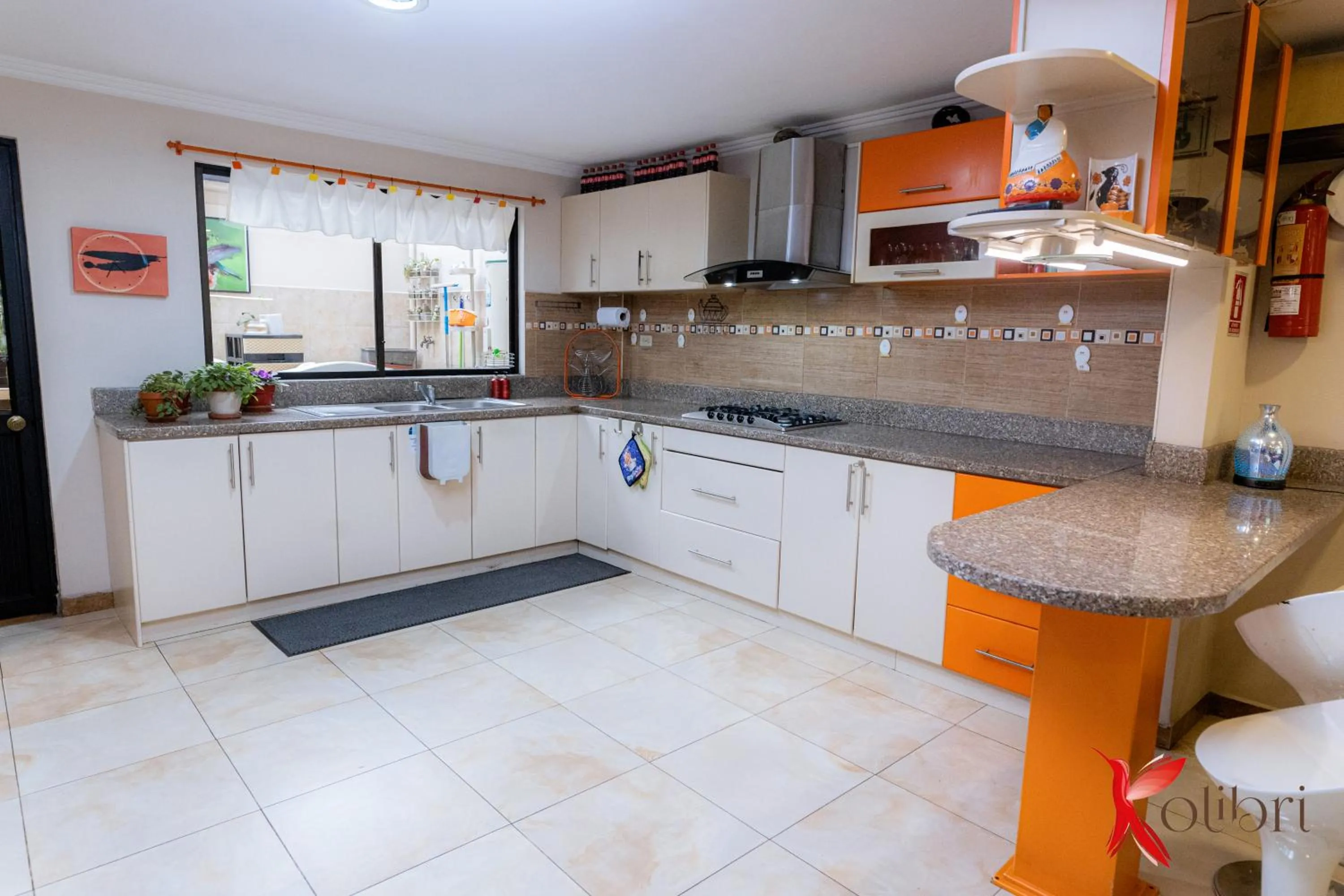 Kitchen or kitchenette in Hostal Kolibri B&B