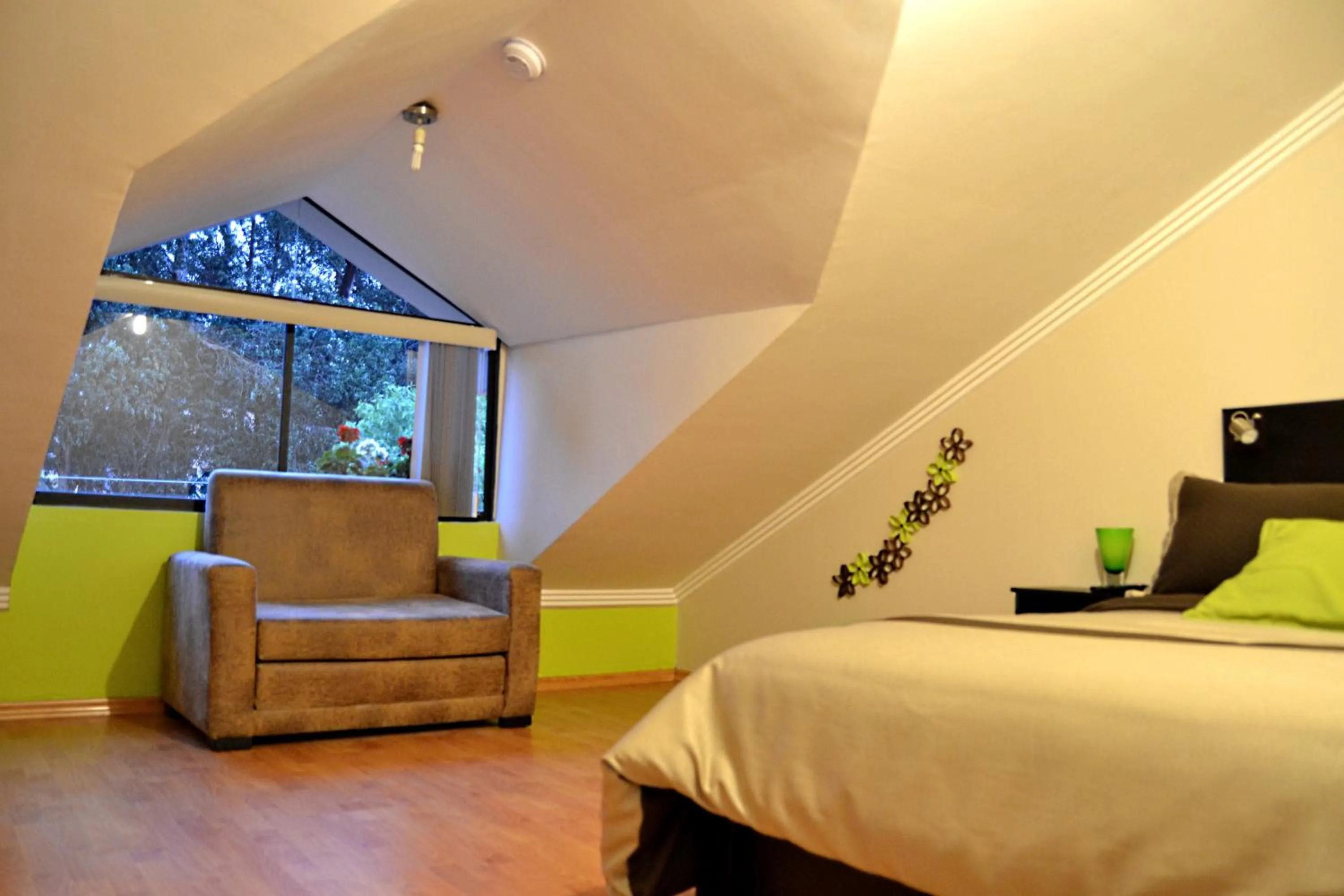 Photo of the whole room in Hostal Kolibri B&B