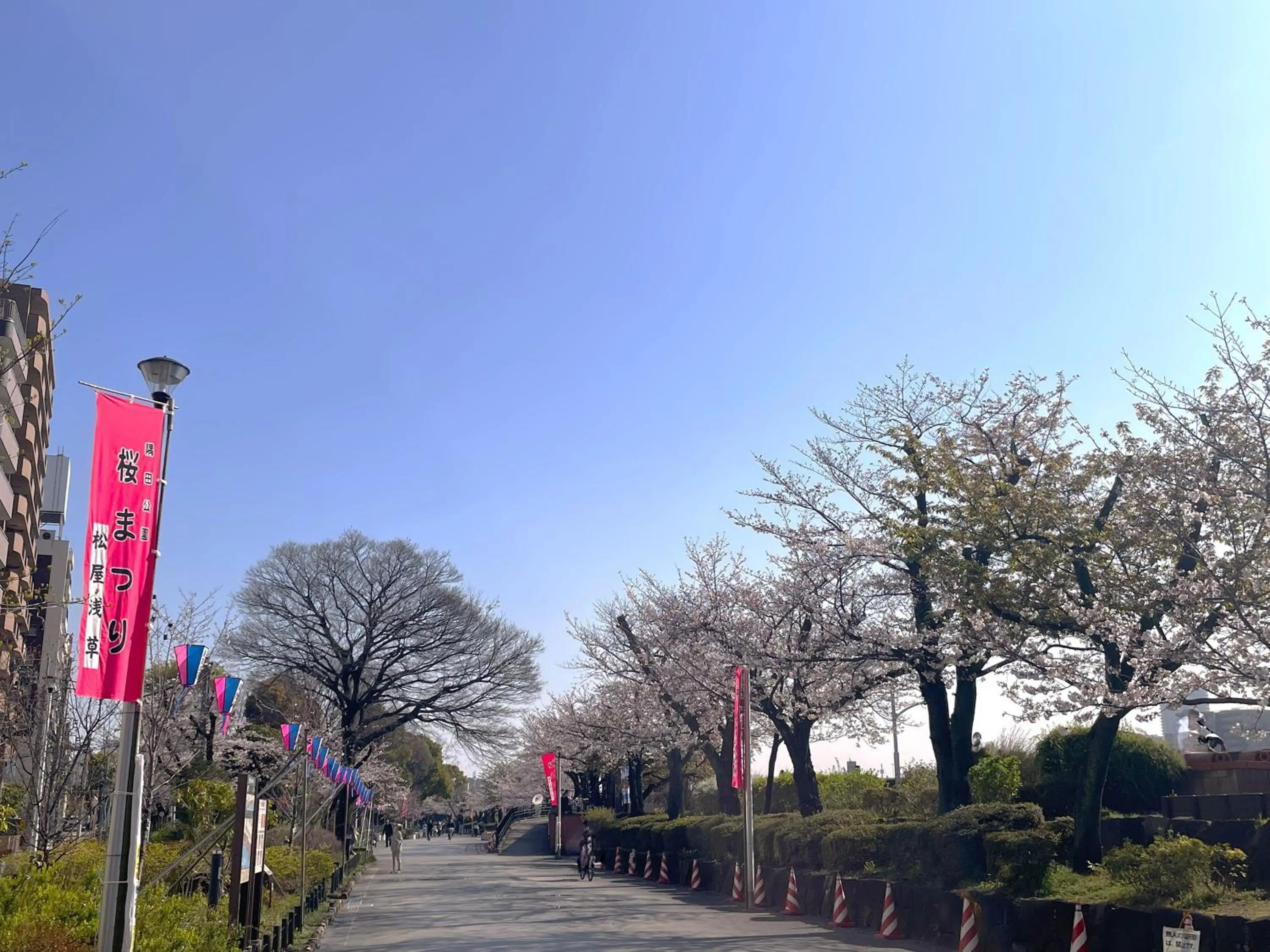 Nearby landmark in HOTEL AMANEK Asakusa Sakurabashi