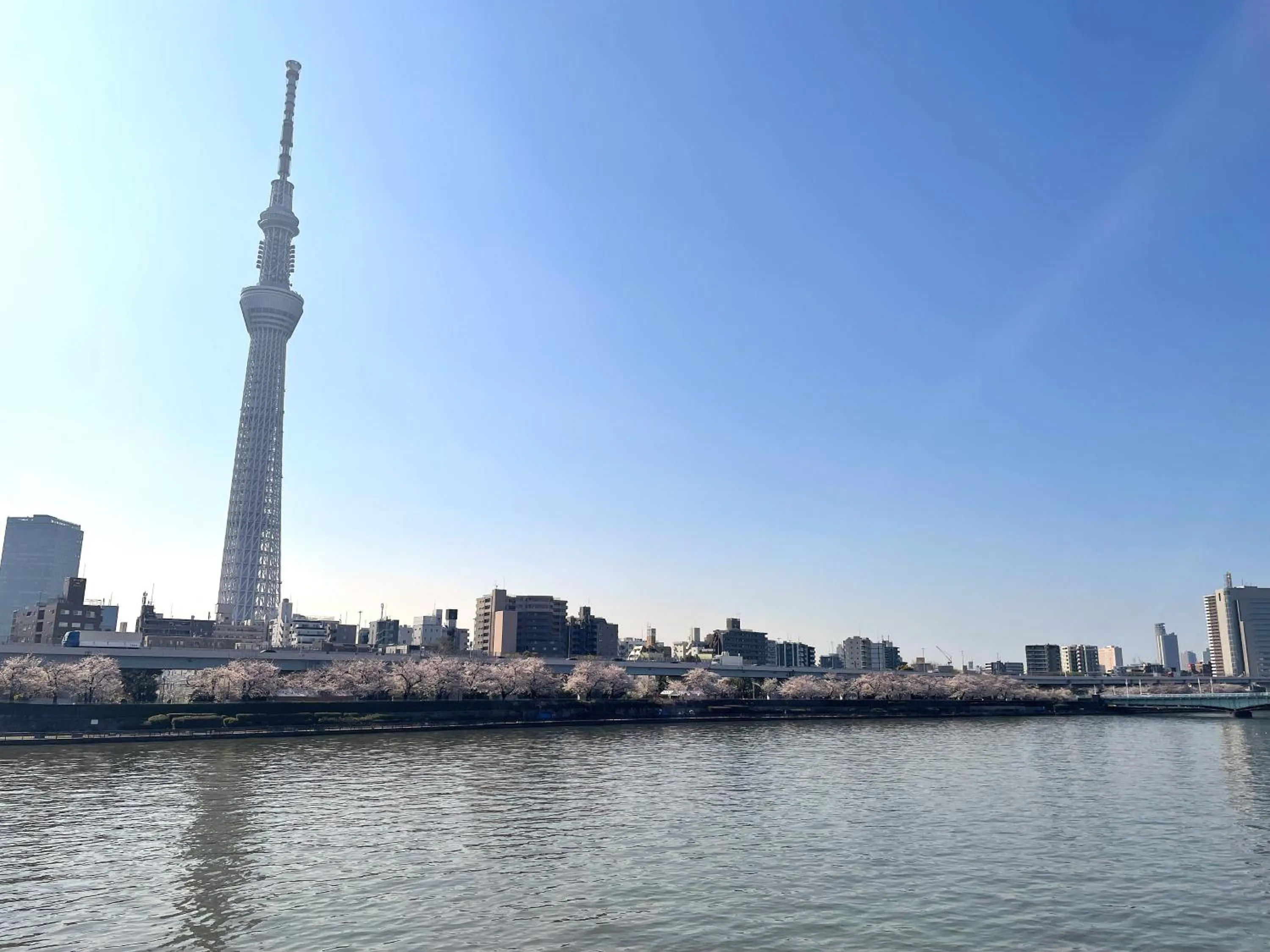 Nearby landmark in HOTEL AMANEK Asakusa Sakurabashi