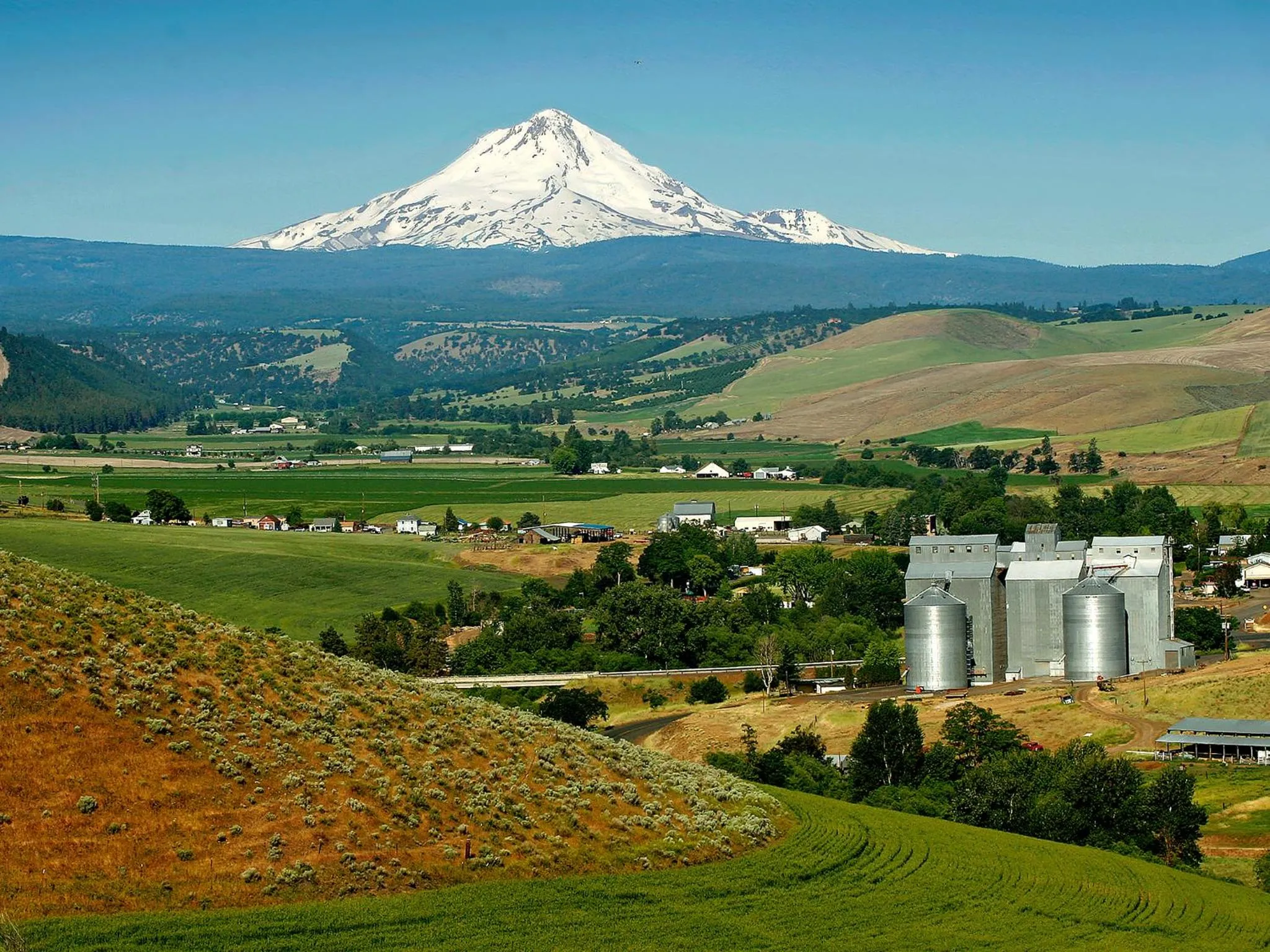 Nearby landmark in Balch Hotel